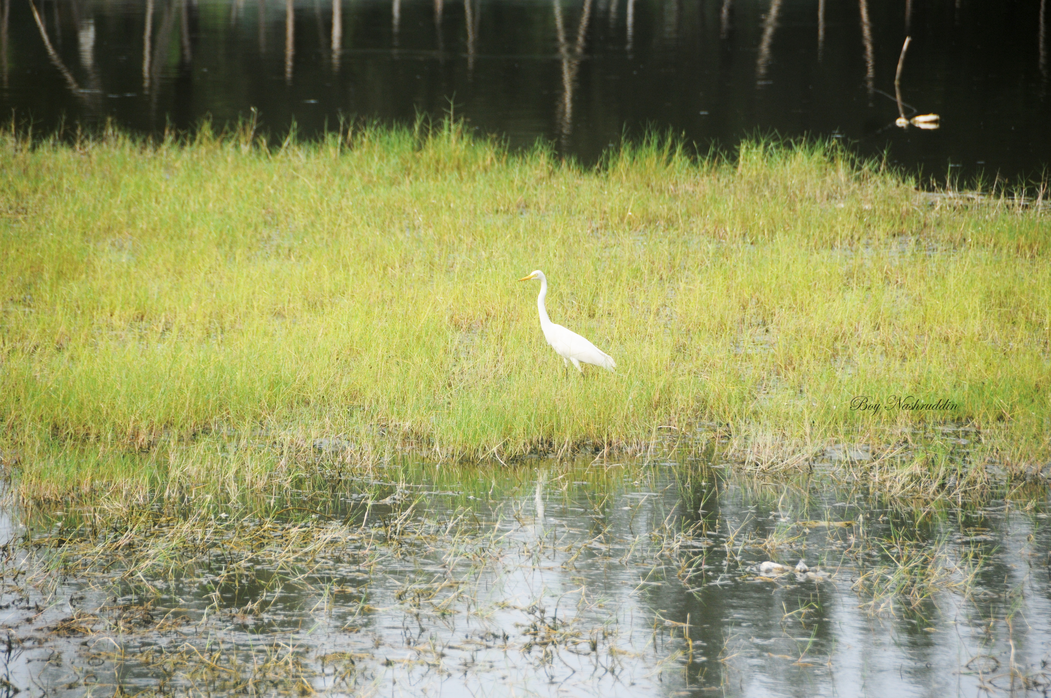 DSC_1735.jpg