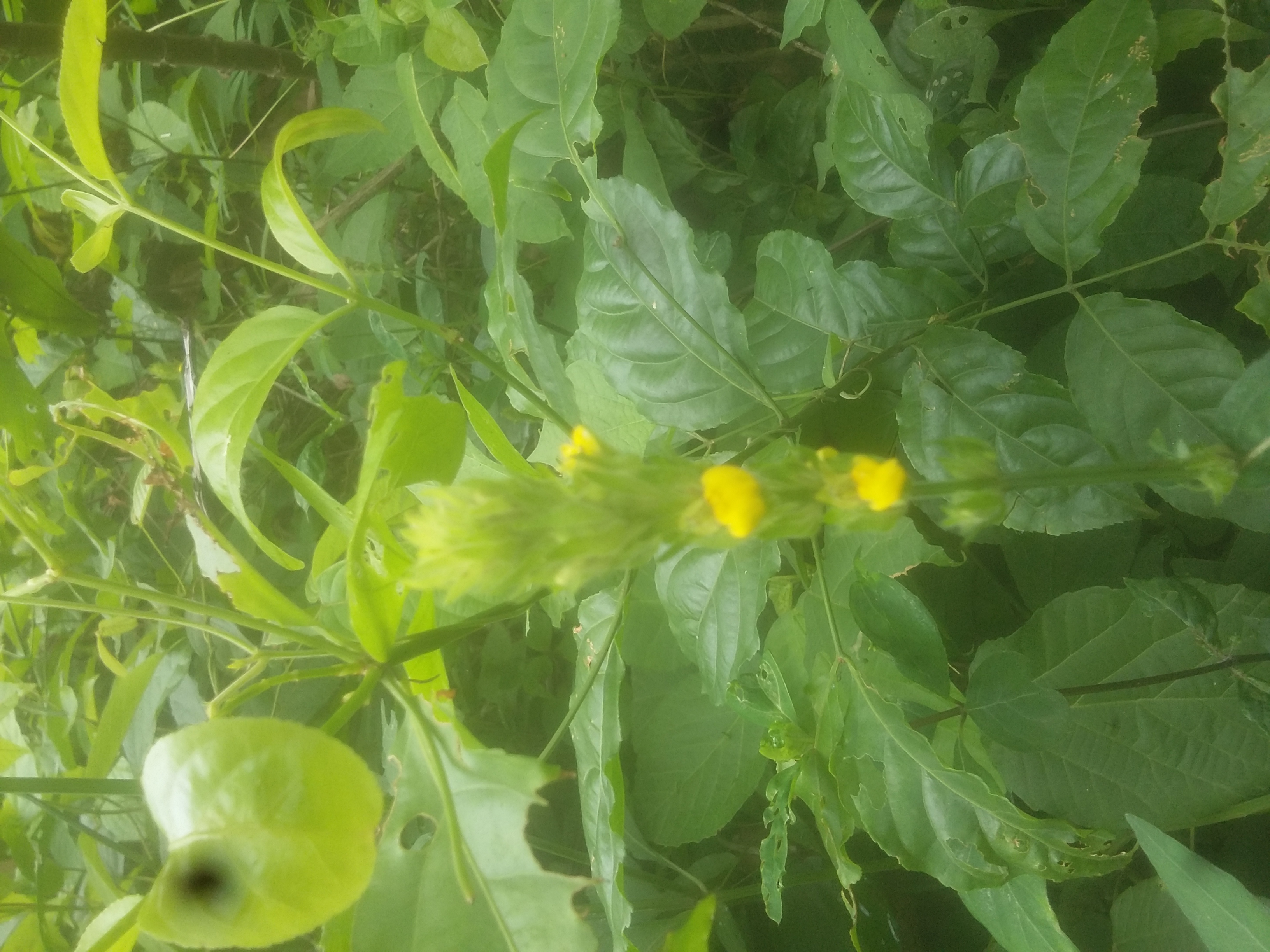 20190517_113257.jpg