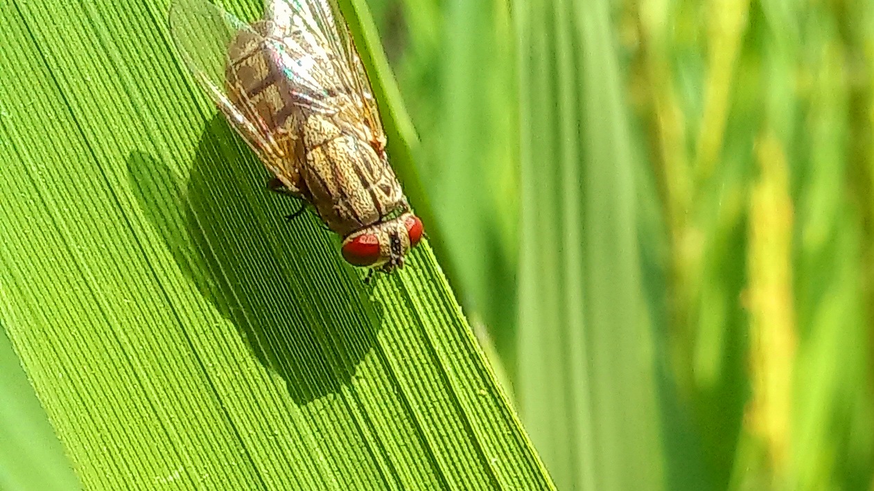 20221017_123553.jpg