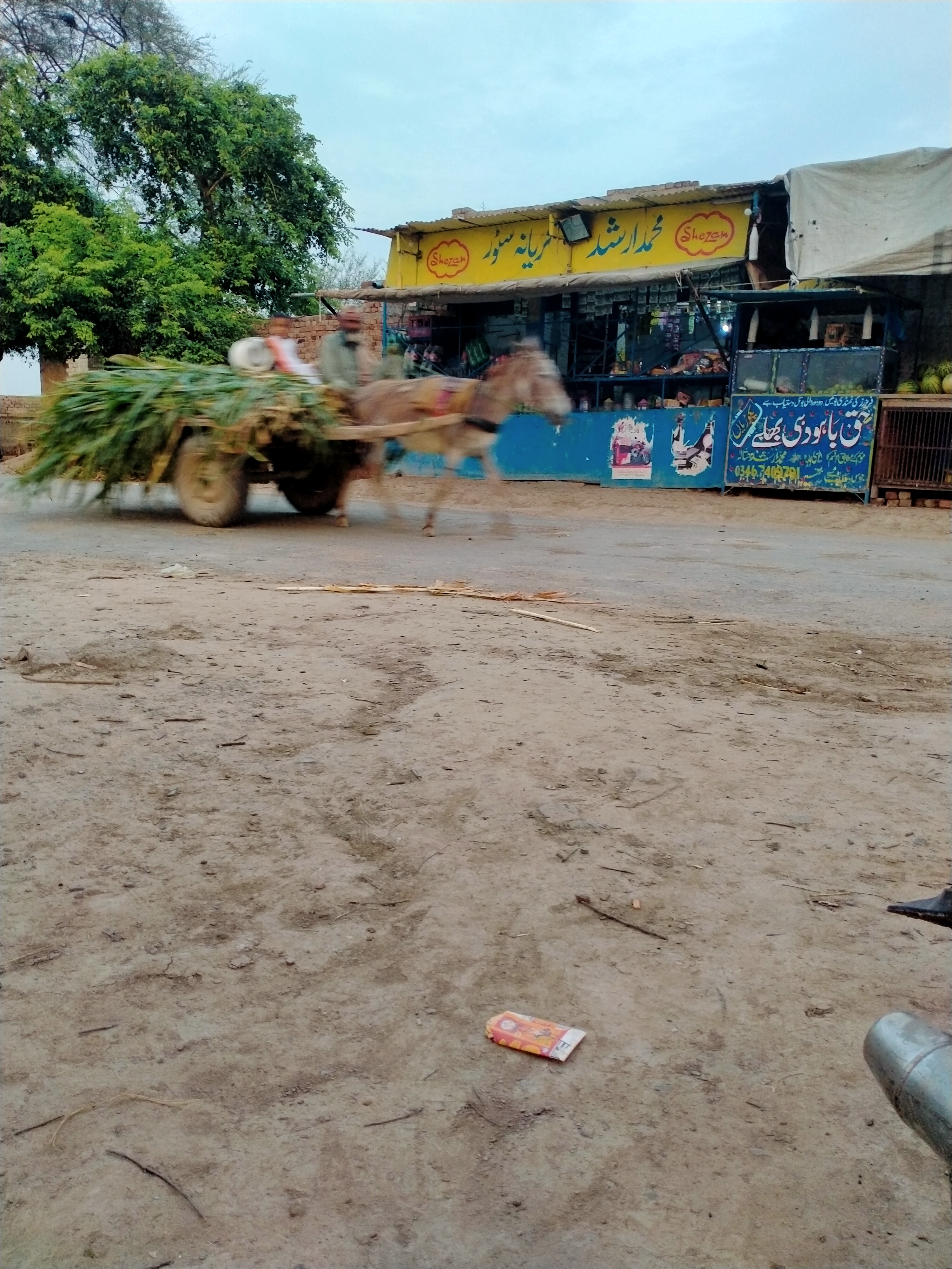 IMG20210603190231.jpg