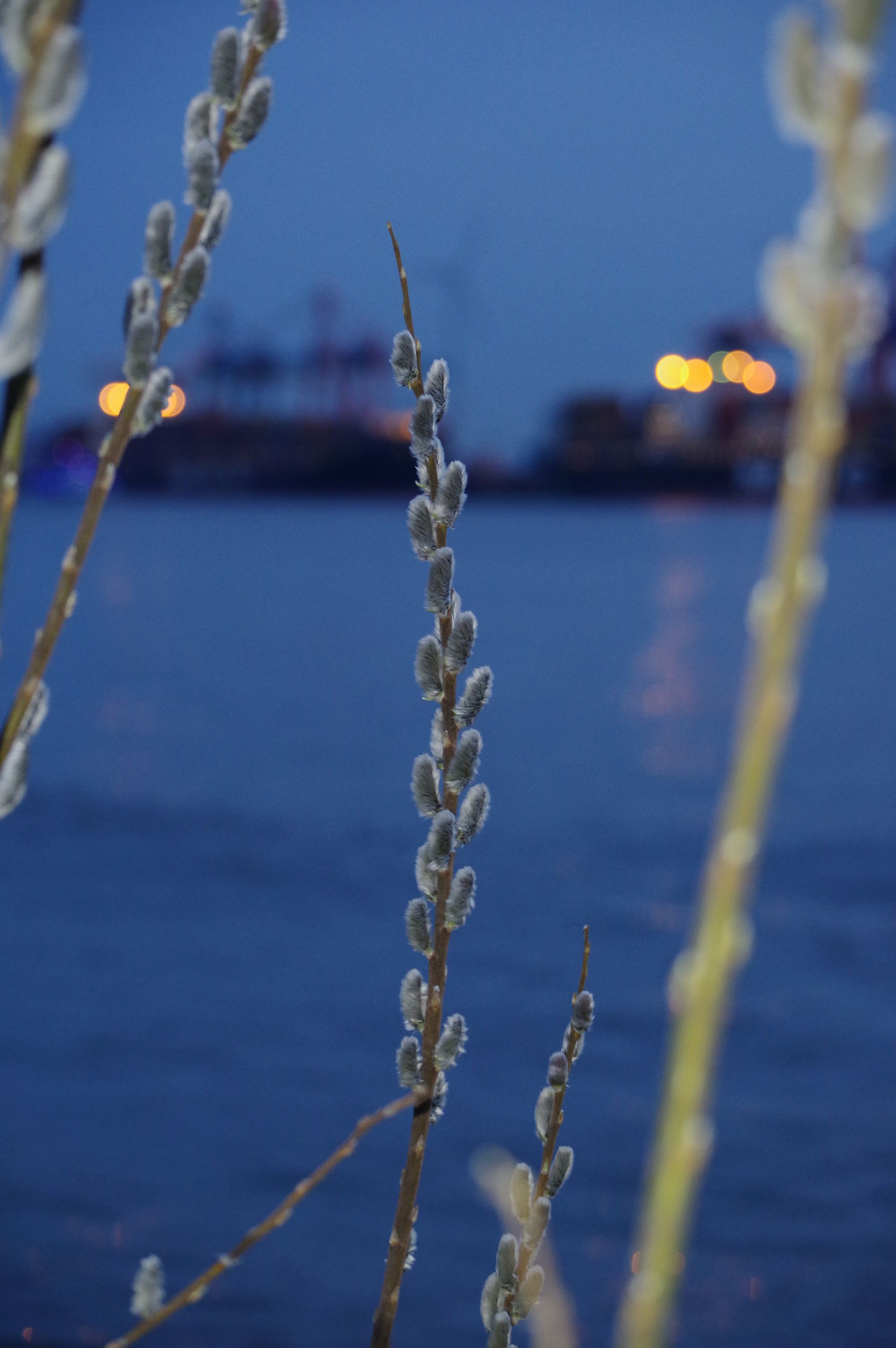 TtW_KP_P1441.jpg