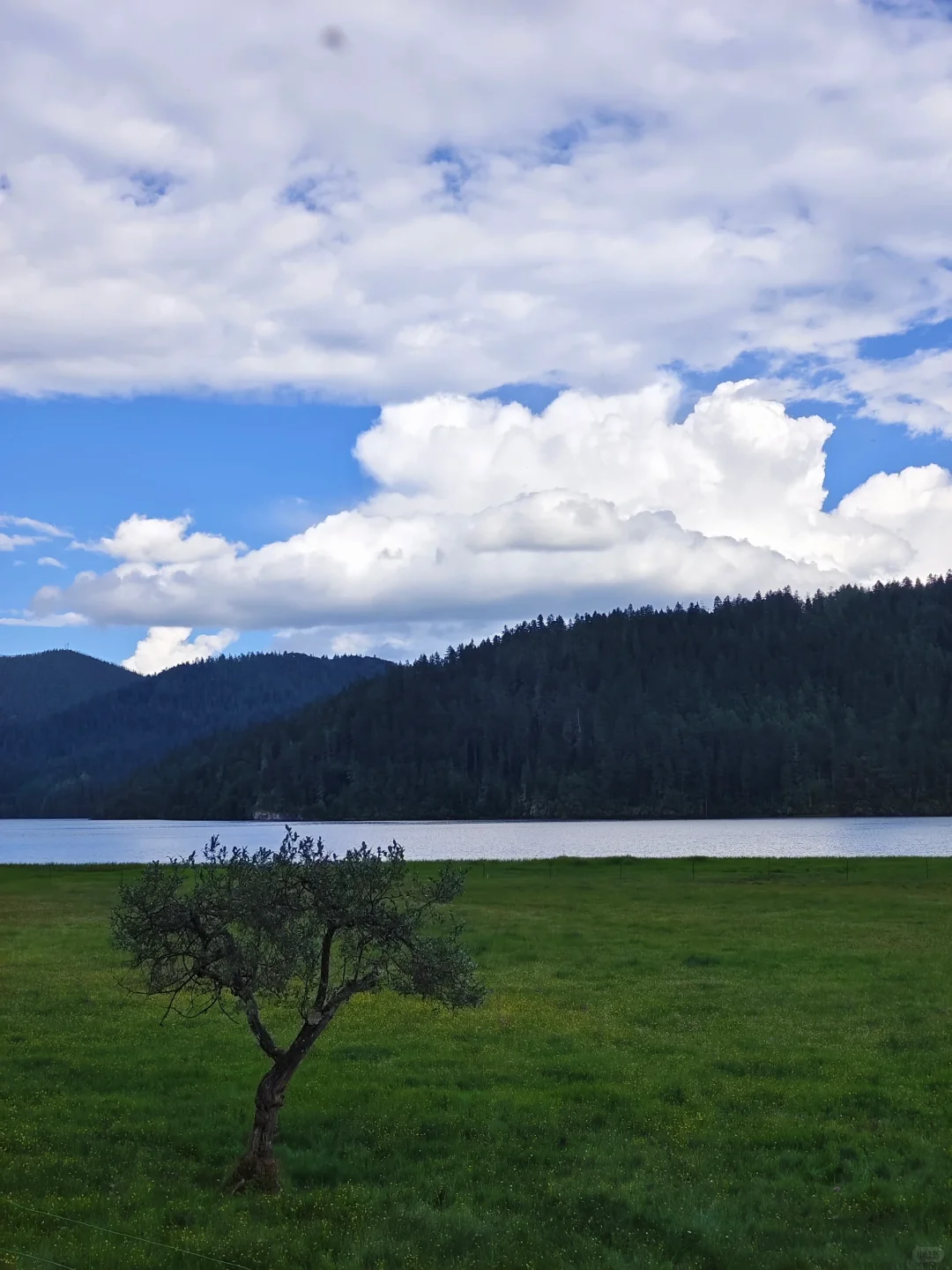 214.webp