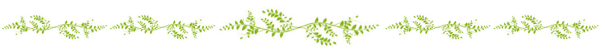 Seperator 800 x 75 - 2019-02-19T203045.410.png