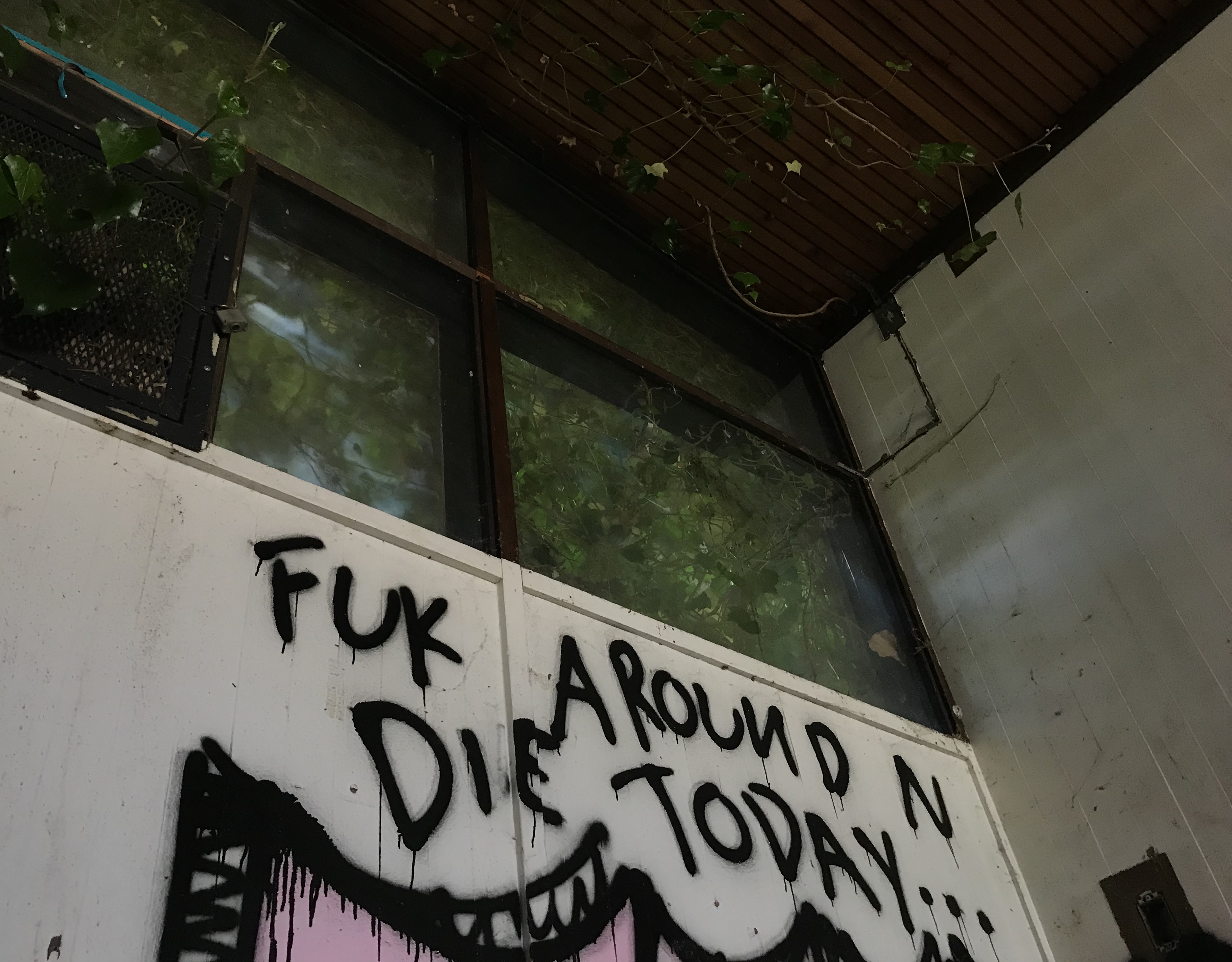 3B945F71-786B-43C2-81DD-DB2D9600B008.jpeg