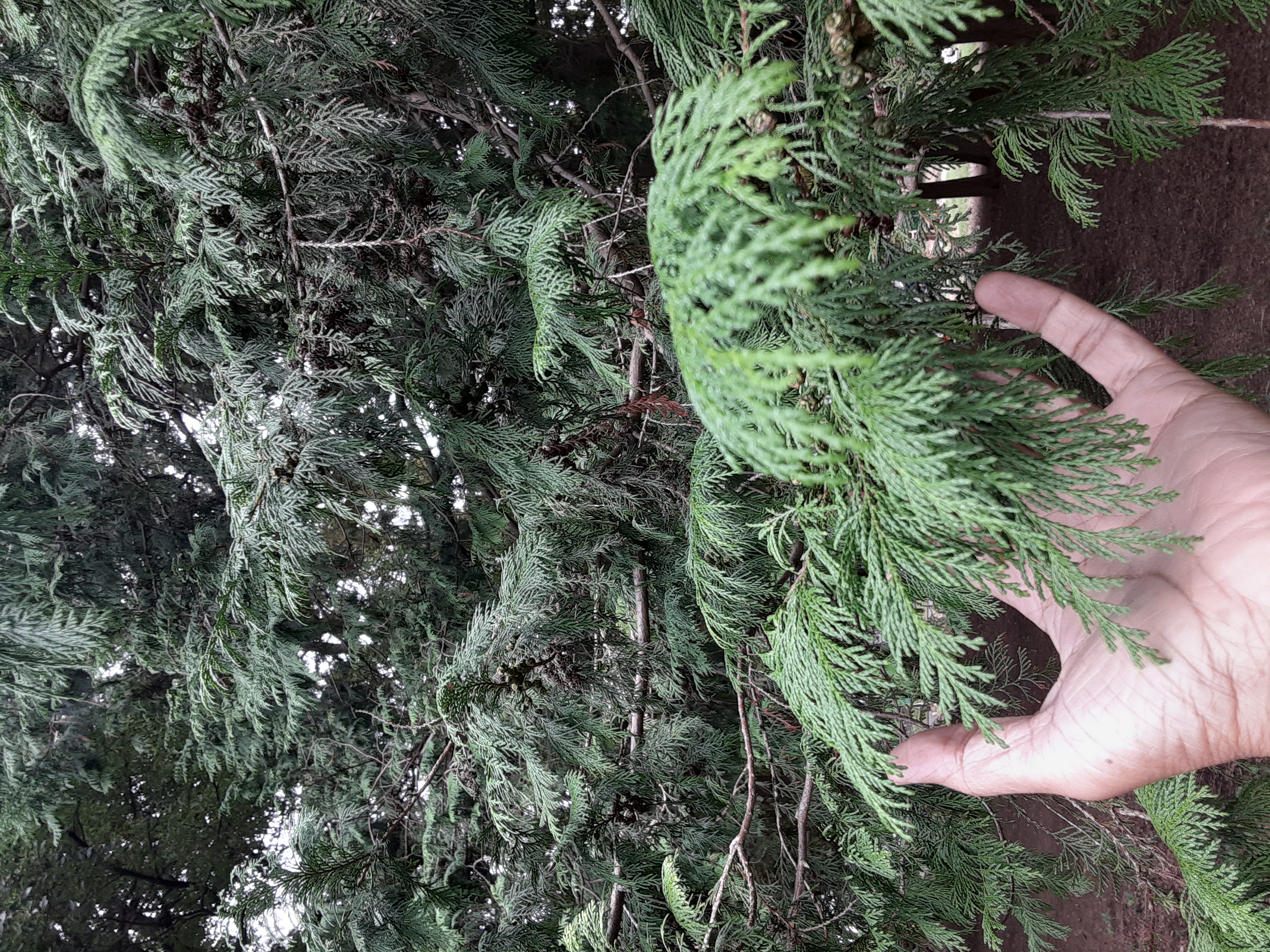 20240928_135025.jpg