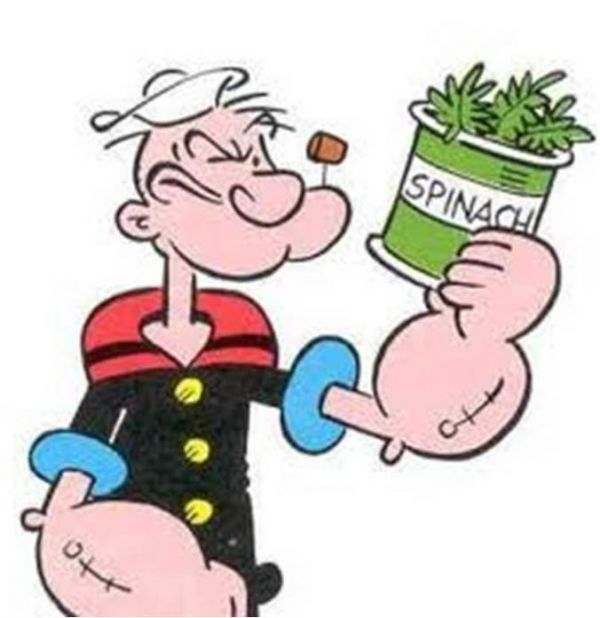 Steemit profile picture for @spinach