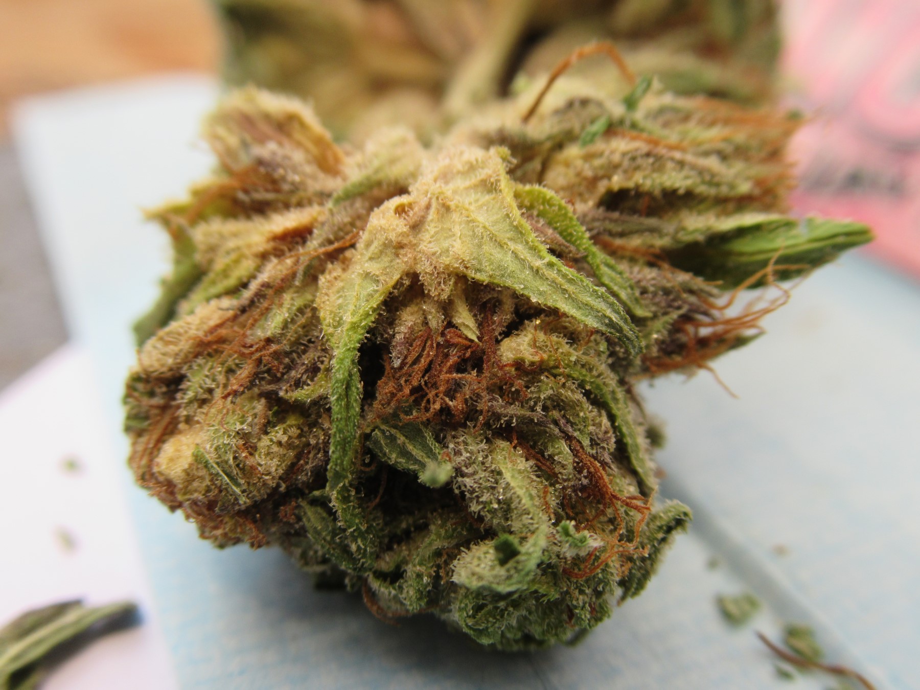fullnugsplitinside.jpg