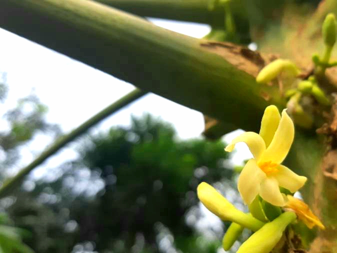 20180915_151333.jpg