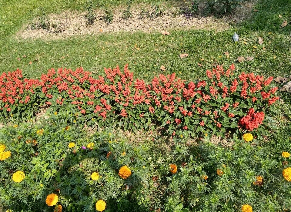 3HaJVw3AYyXBD5Md5tUD9YKkzGo1eoR2RP1hYxRaFr2EW4kTtuSPb5Pg7SUiUwqs67jSYFnwmxounkH8DDG1n5q55vDf7PbjPncVgu7-1.jpg
