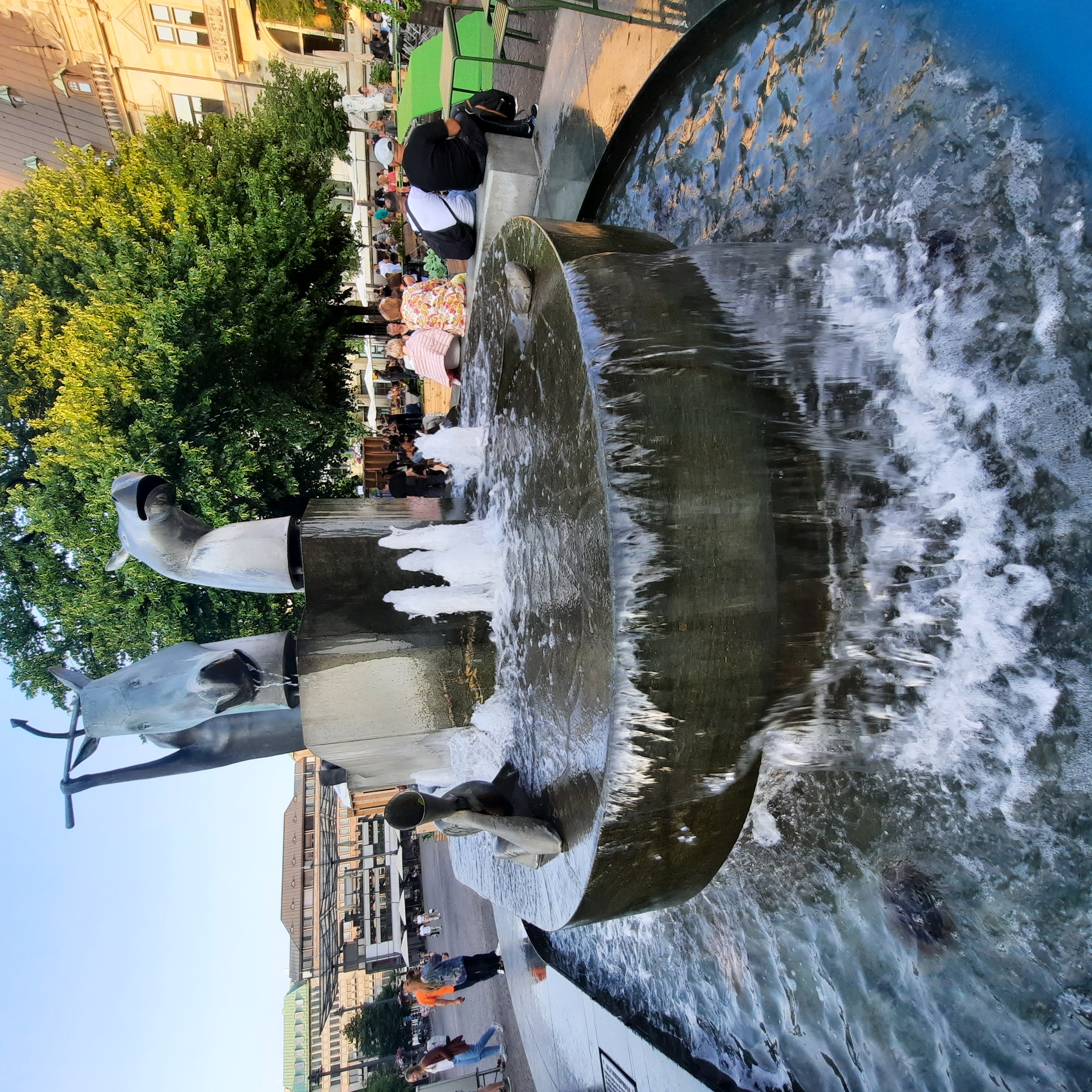 20230617_202828.jpg