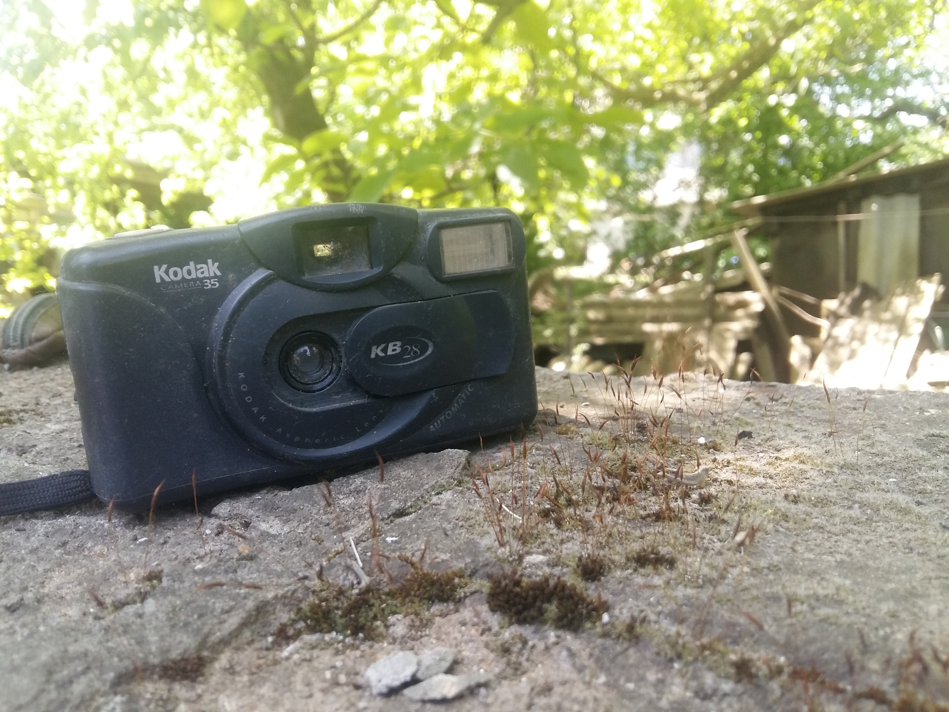 20180504_104614.jpg