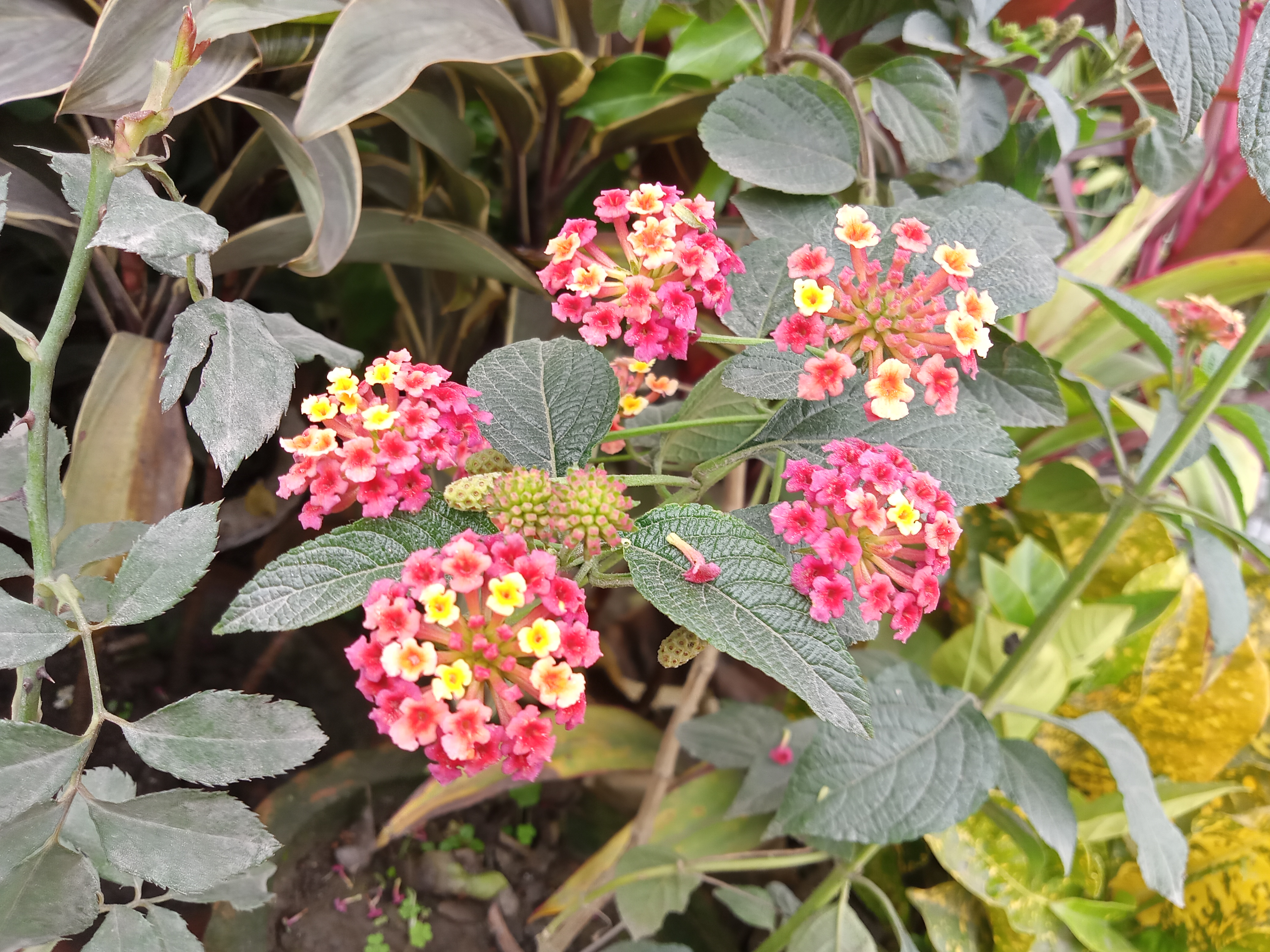 IMG20220111113838_01.jpg