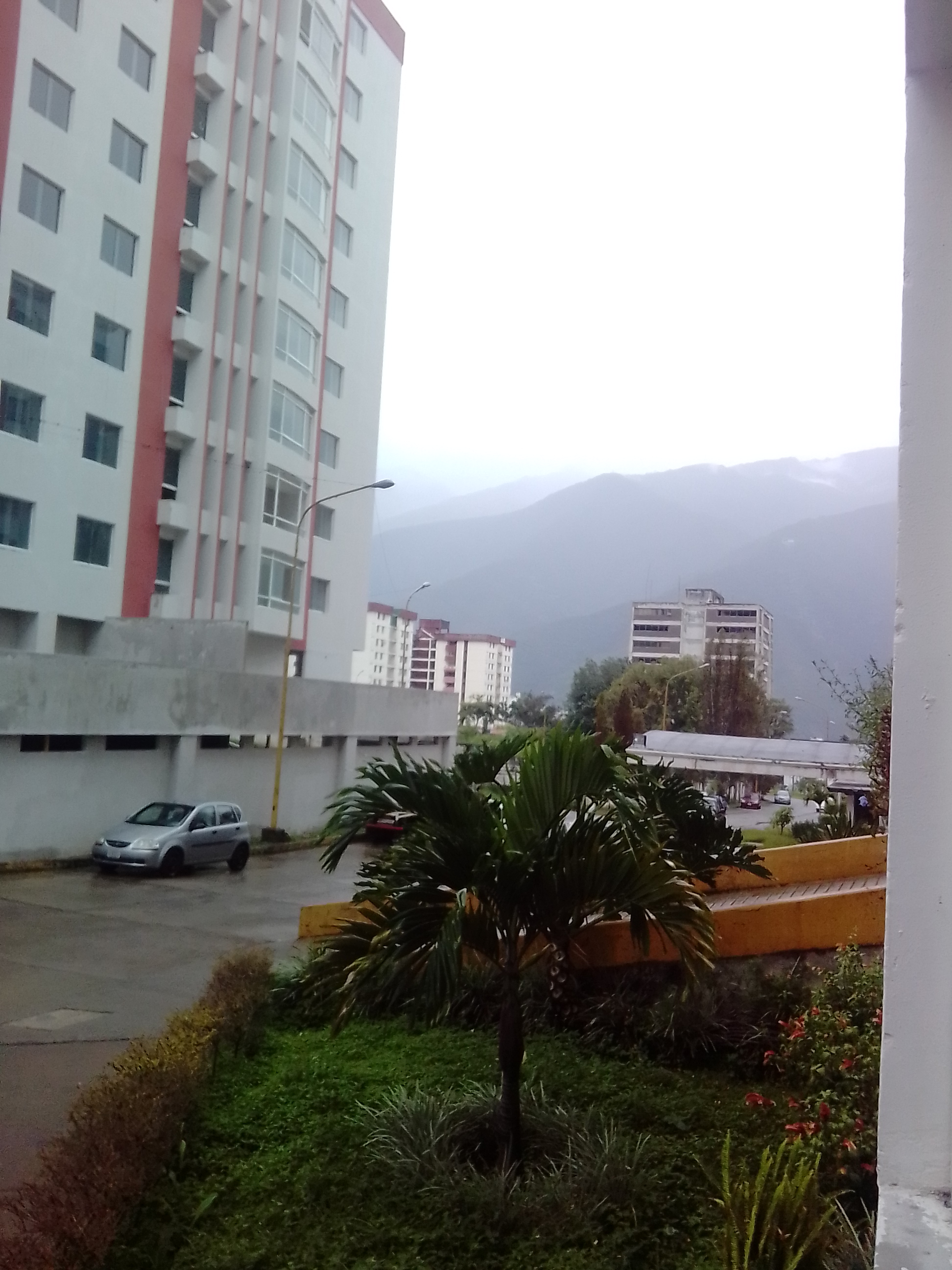 IMG_20210615_092426.jpg