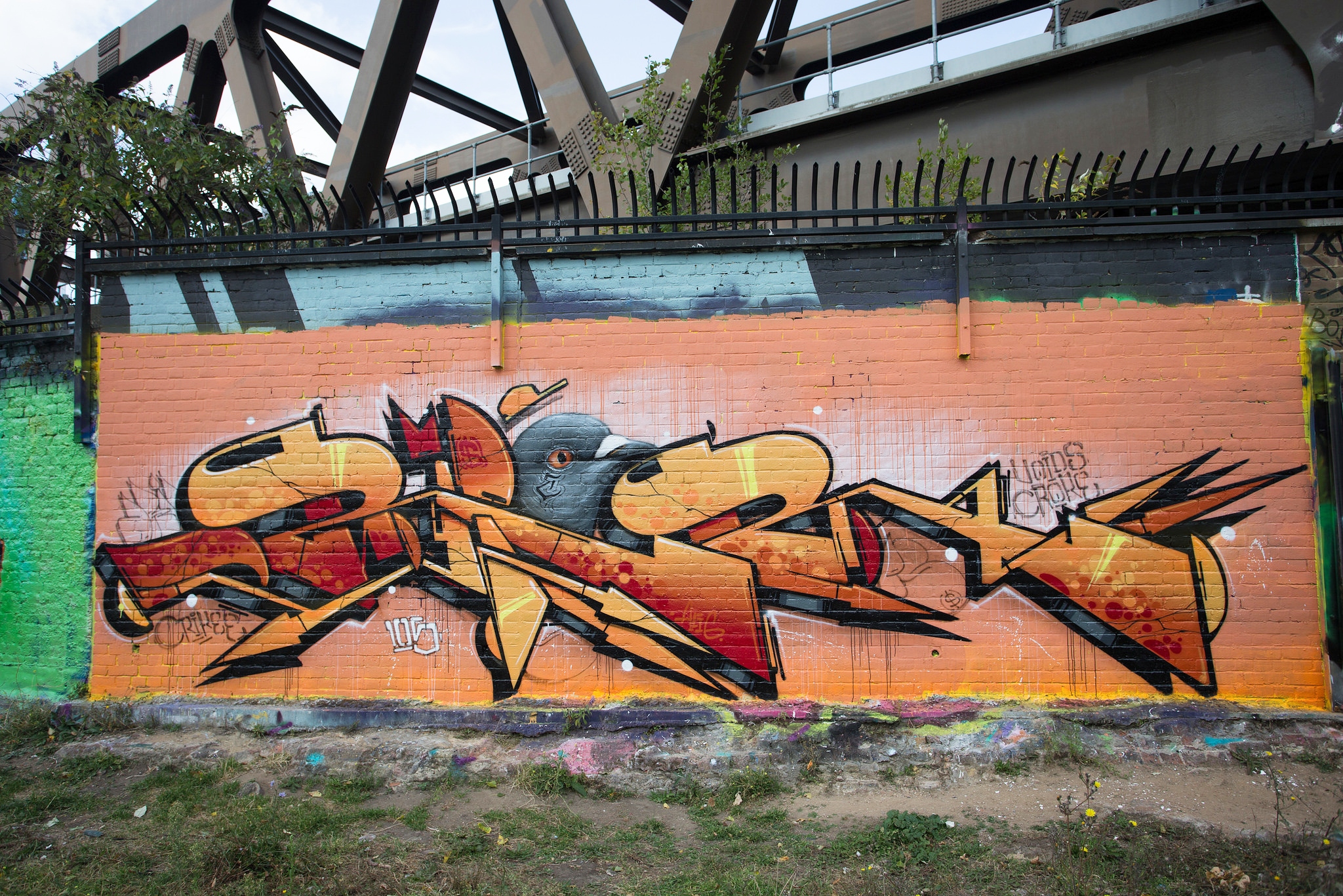 roids-msk.jpg