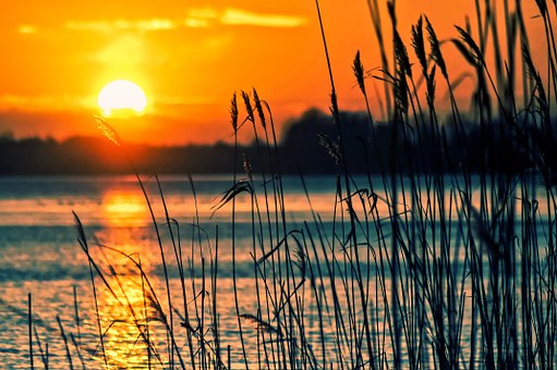 lake-696098__340.jpg