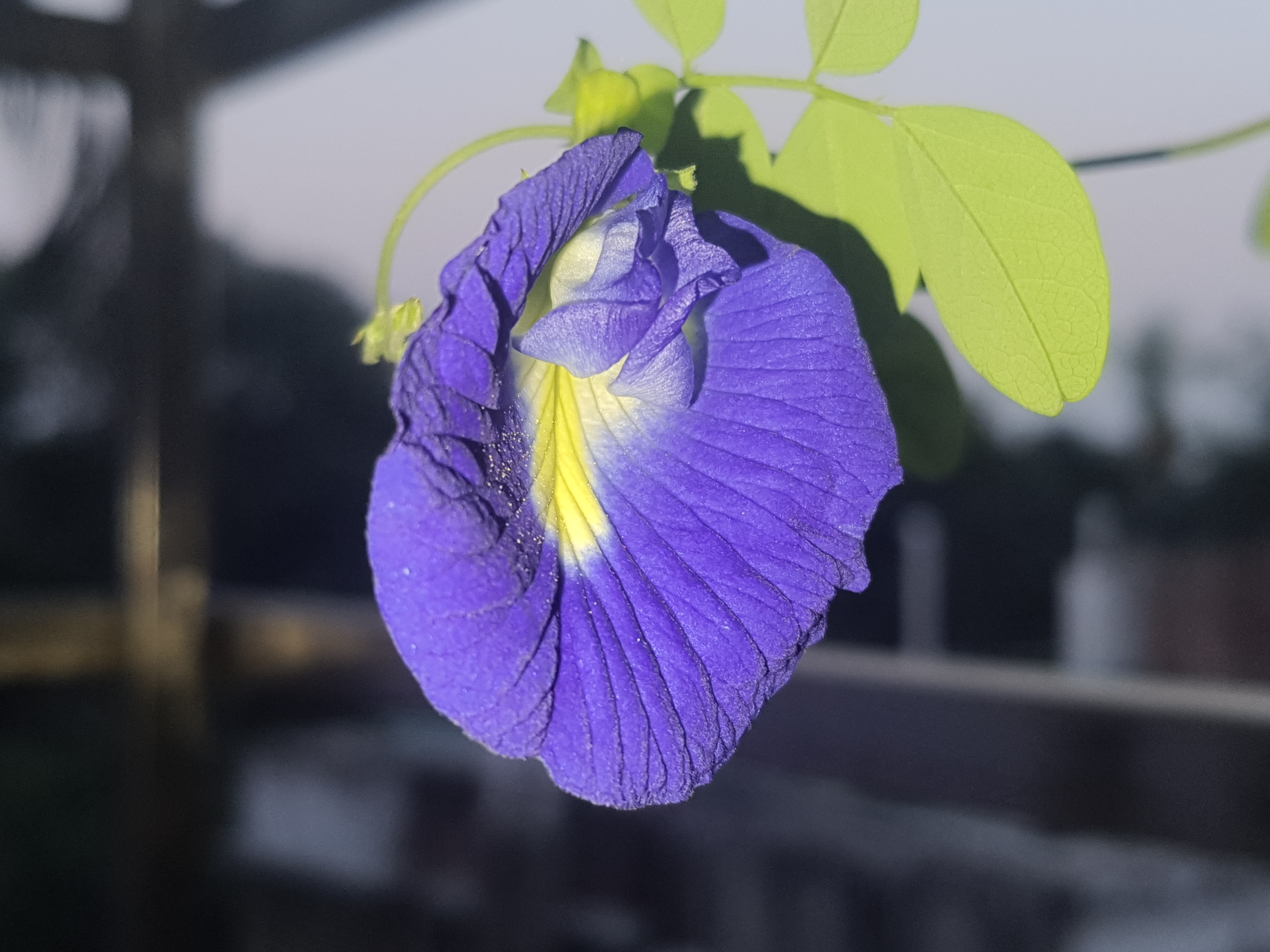 20201118_170732.jpg