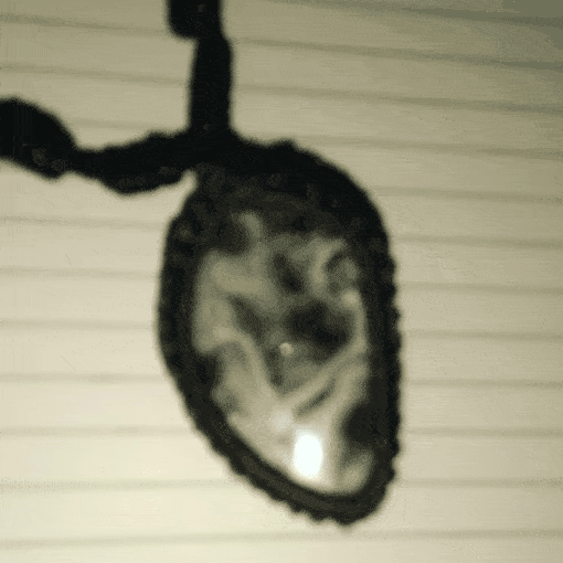 1.gif