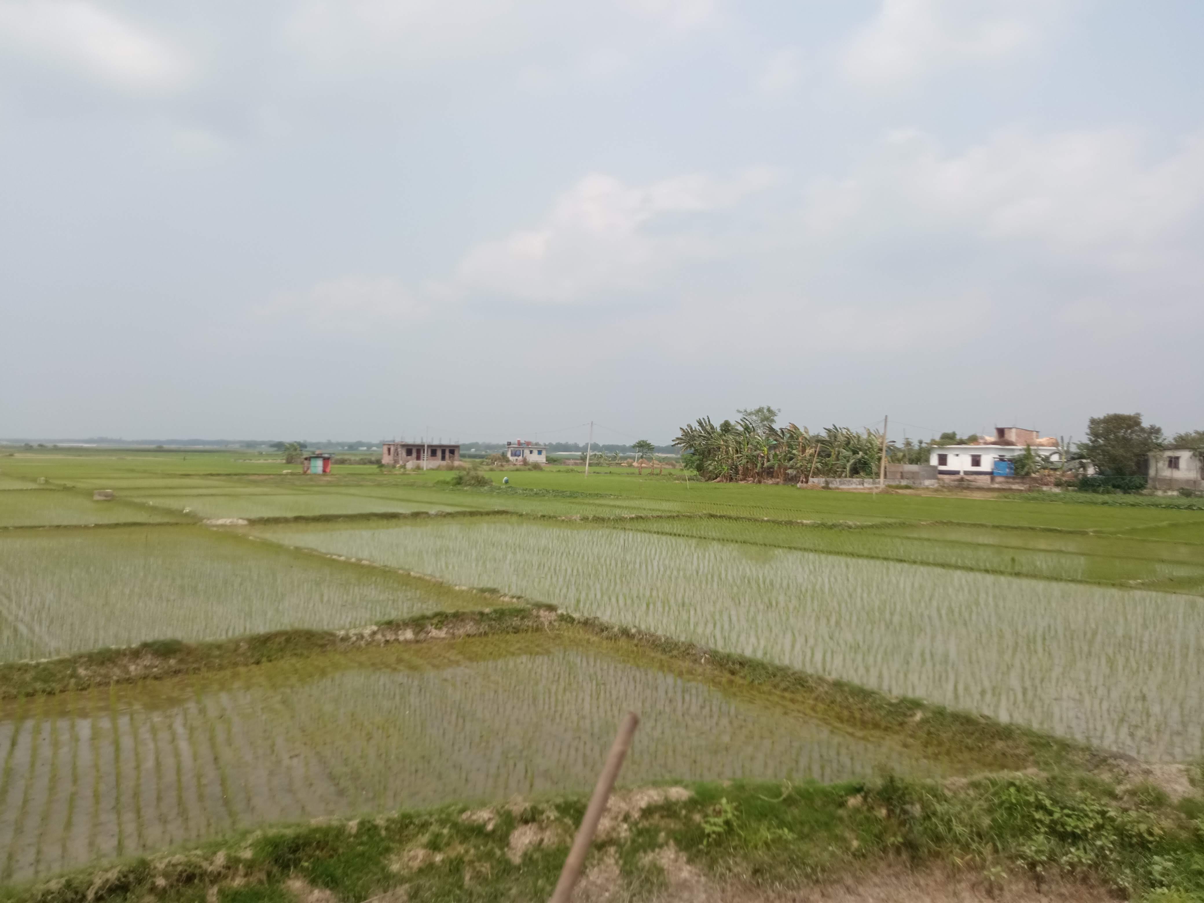 প্রকৃতি (2).jpg