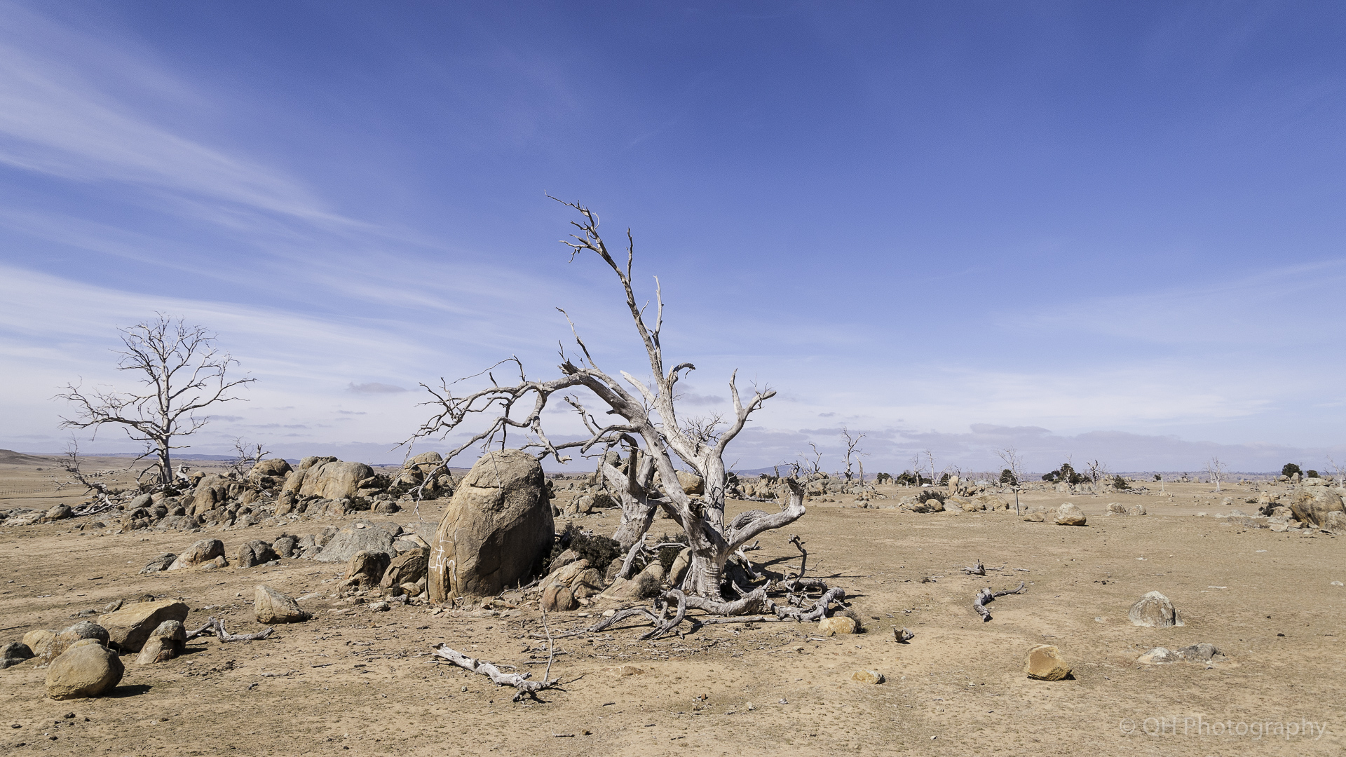 Monaro Plains-4798.jpg