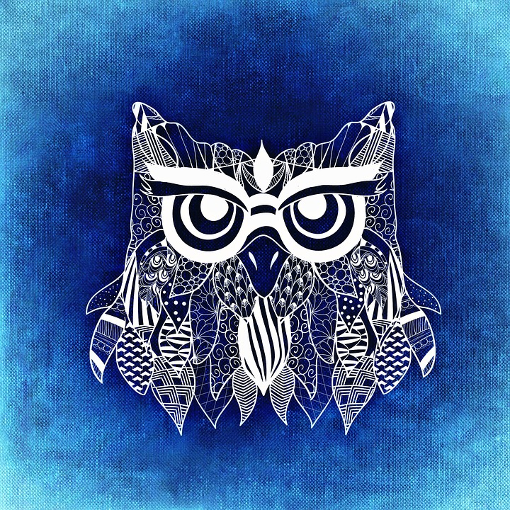 A New Passion Curating A Lot Of Work But In The End It S All