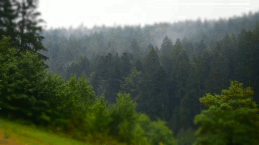 Die Natur atmet auf.gif