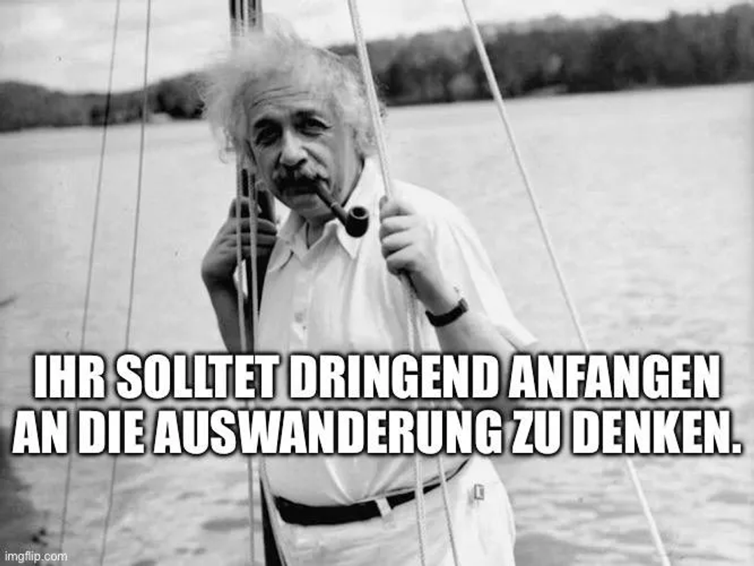 9b40655d-1201-404d-a7b5-90eb41371054_667x500.webp