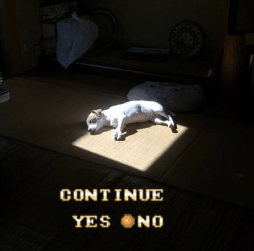 6FC.png