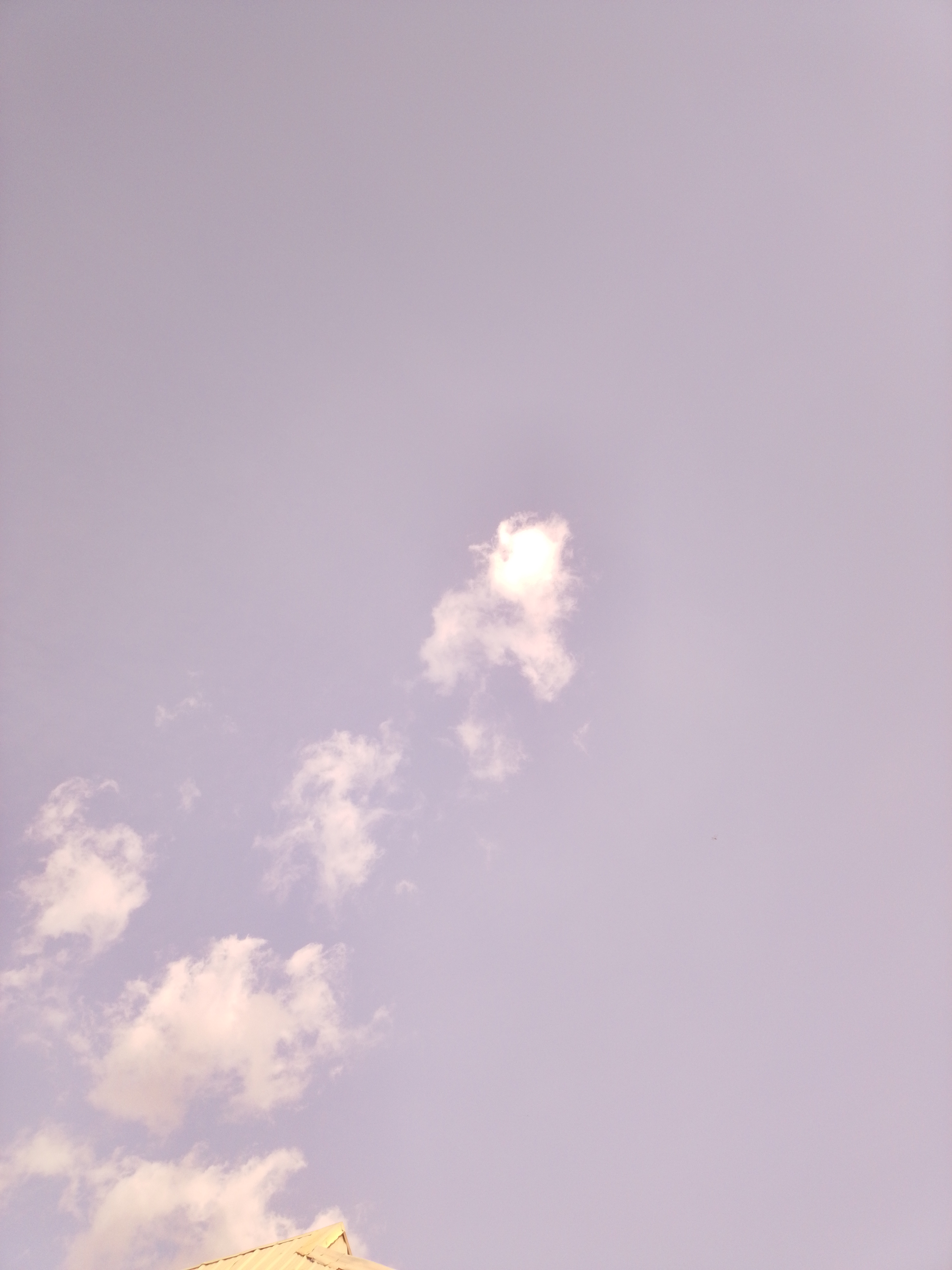 1000059571.jpg