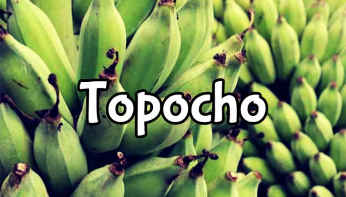 Propiedades-del-topocho.jpg