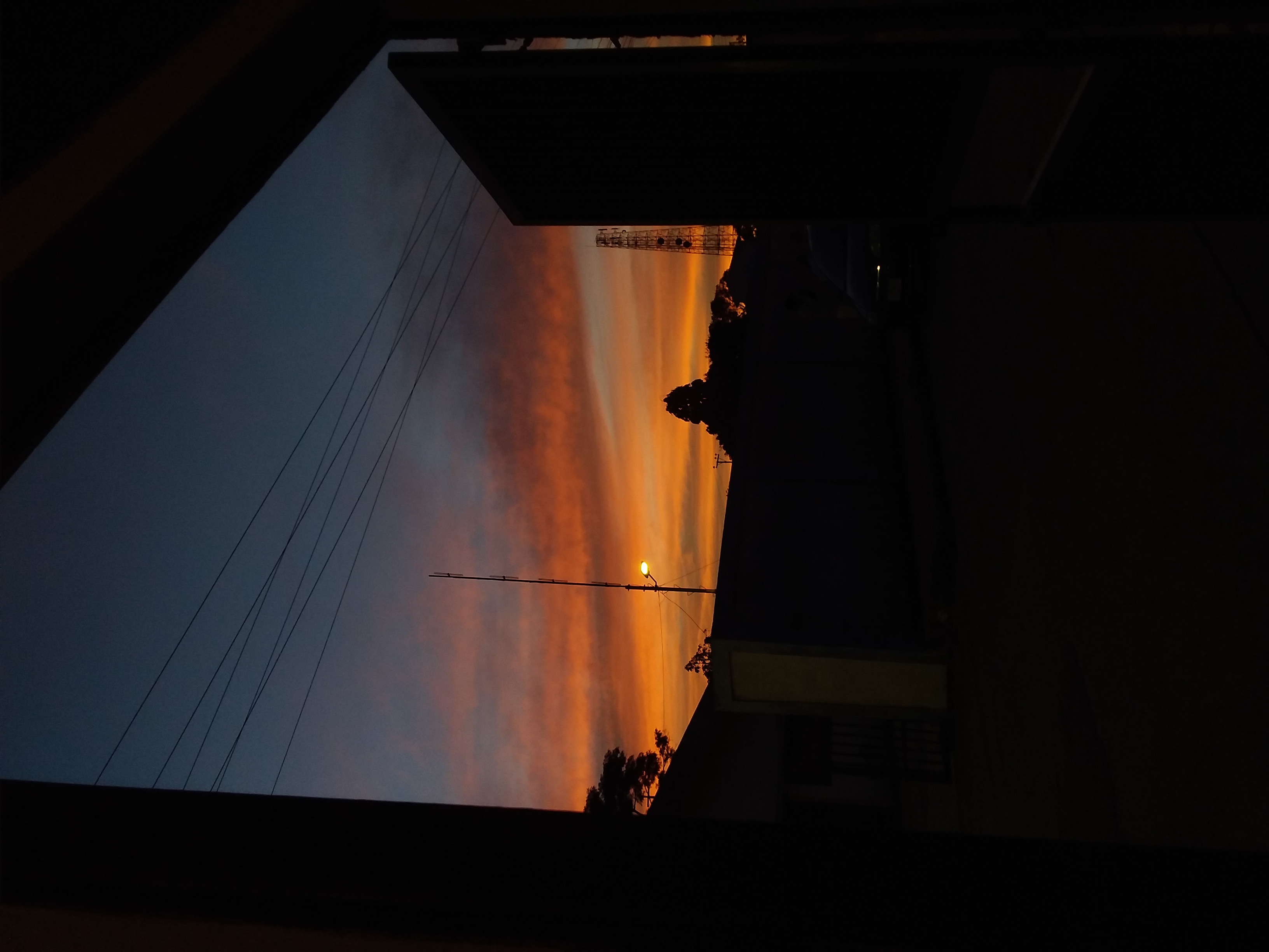 20210529_190954.jpg