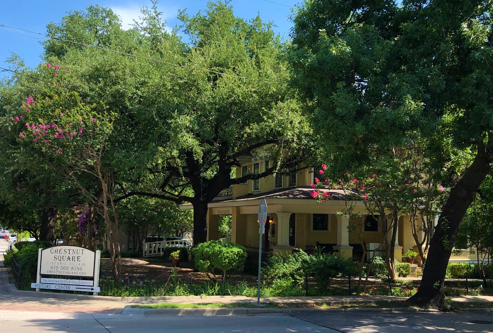ChestnutSquare.jpg