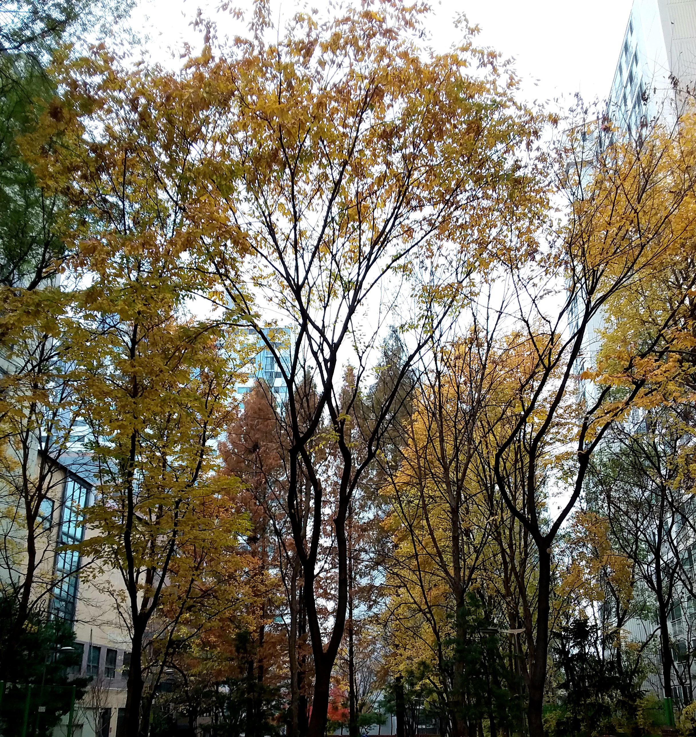 20201117_124218.jpg