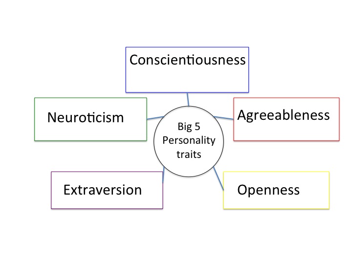 Diagram_of_the_Big_5_personality_traits (1).jpeg