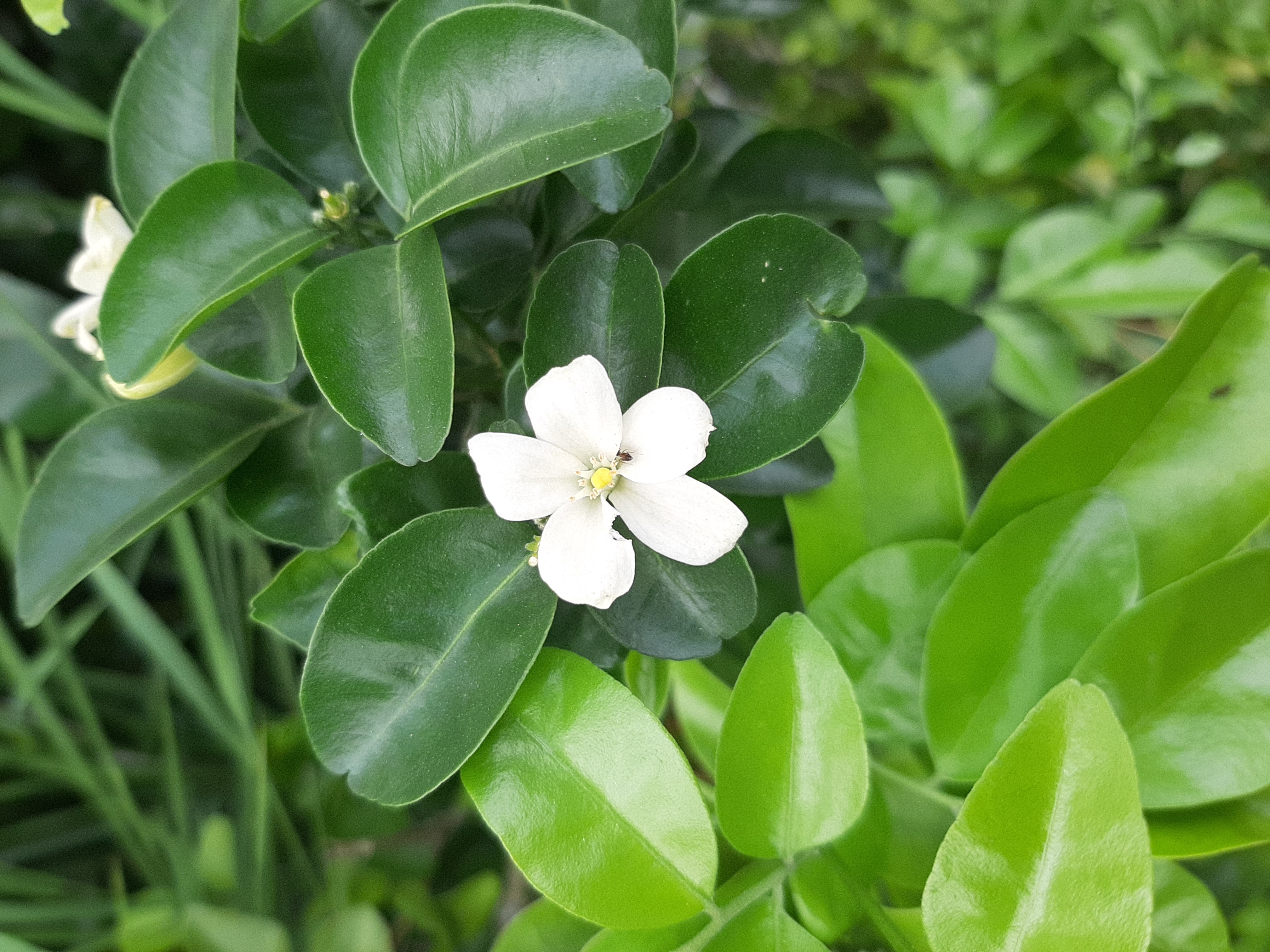 20190705_145104.jpg