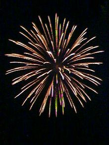 220px-Spider-Firework-Omiya-Japan.jpg