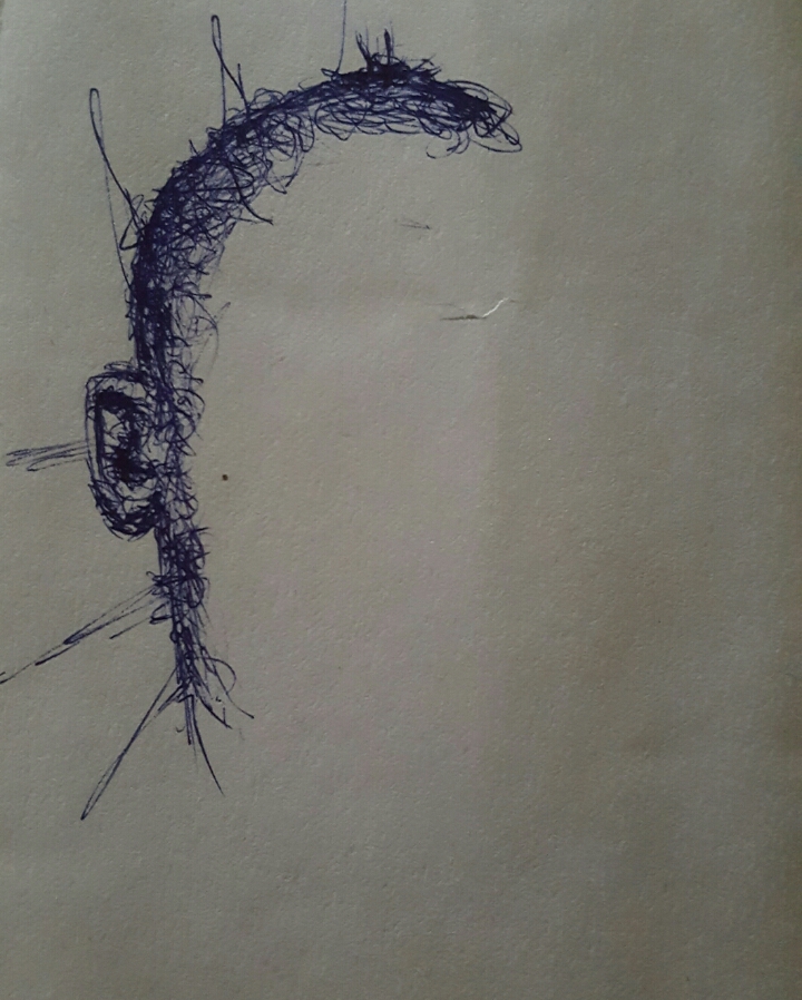 PhotoGrid_1584199111327.jpg