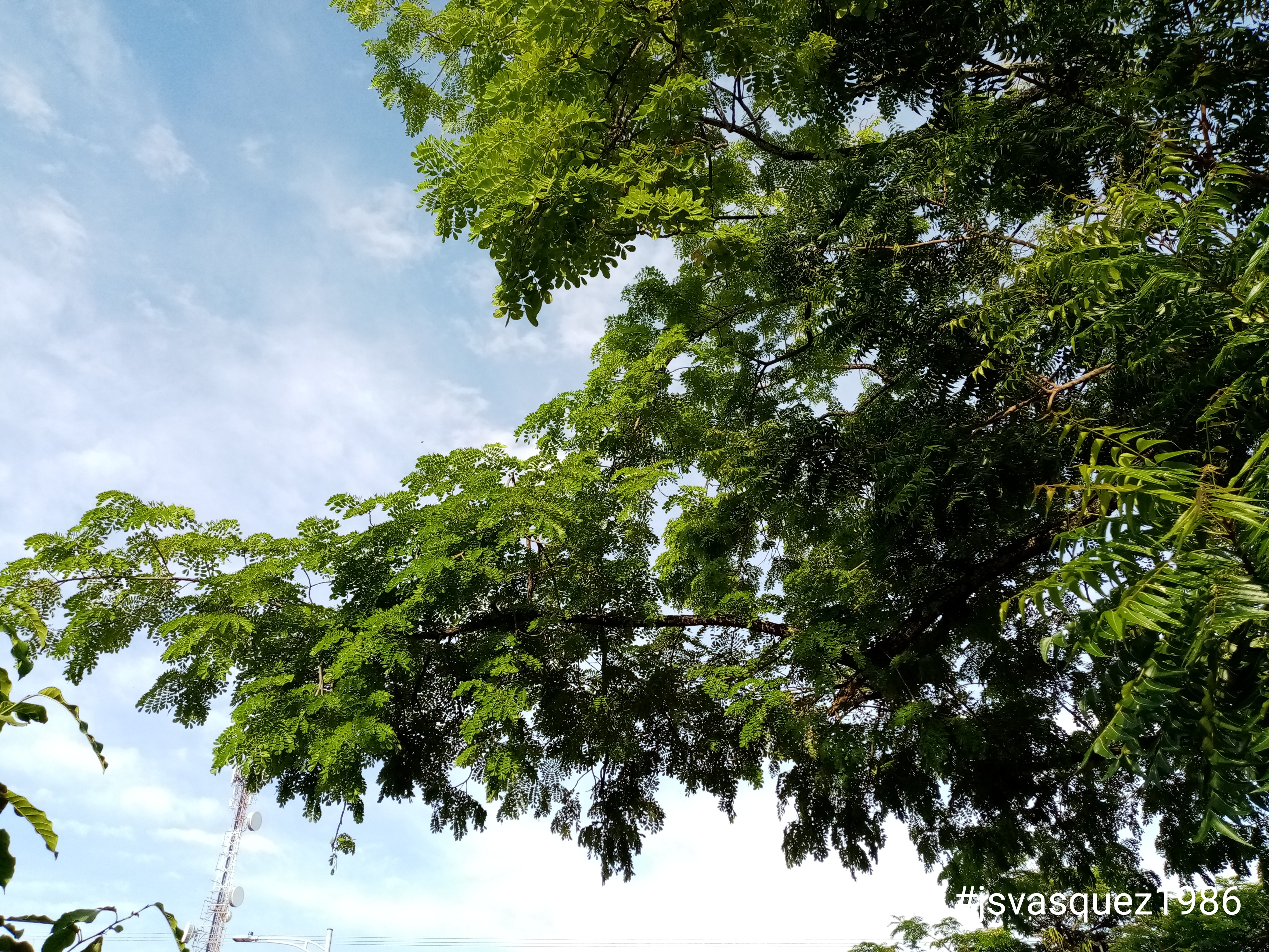 20220427_071446.jpg