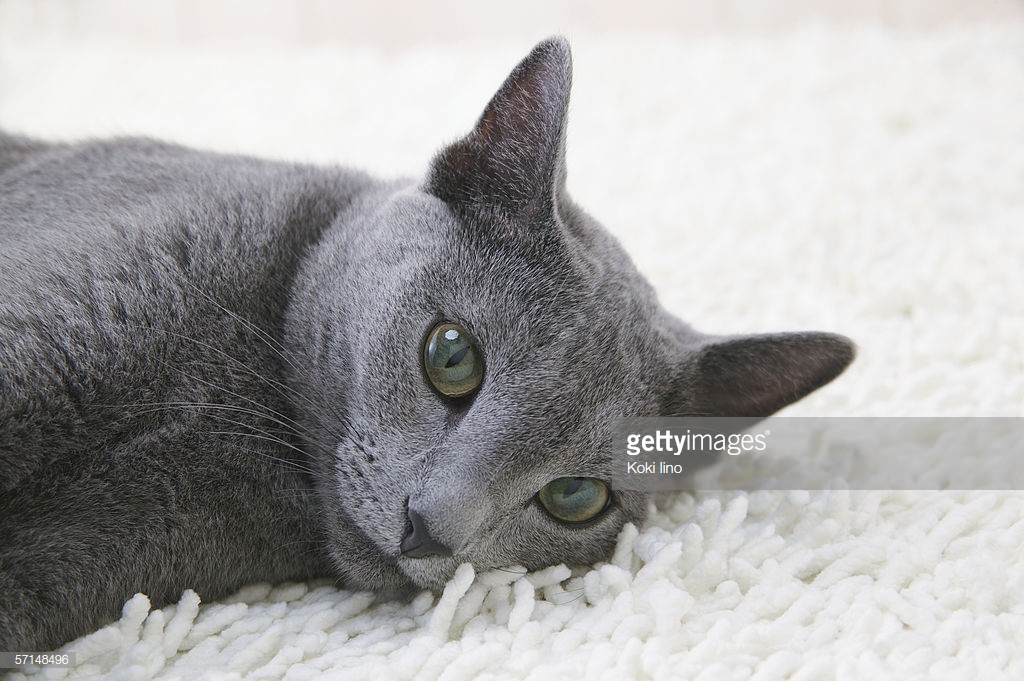 gettyimages-57148496-1024x1024.jpg
