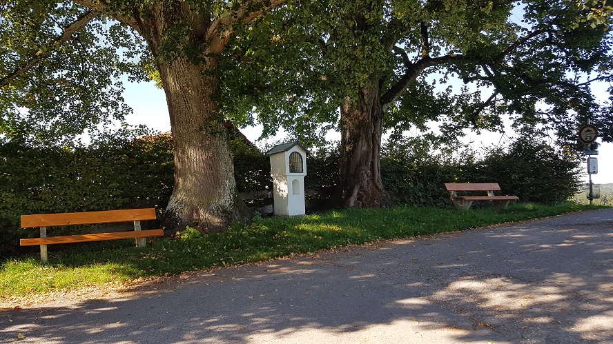20190921_154346_low.jpg