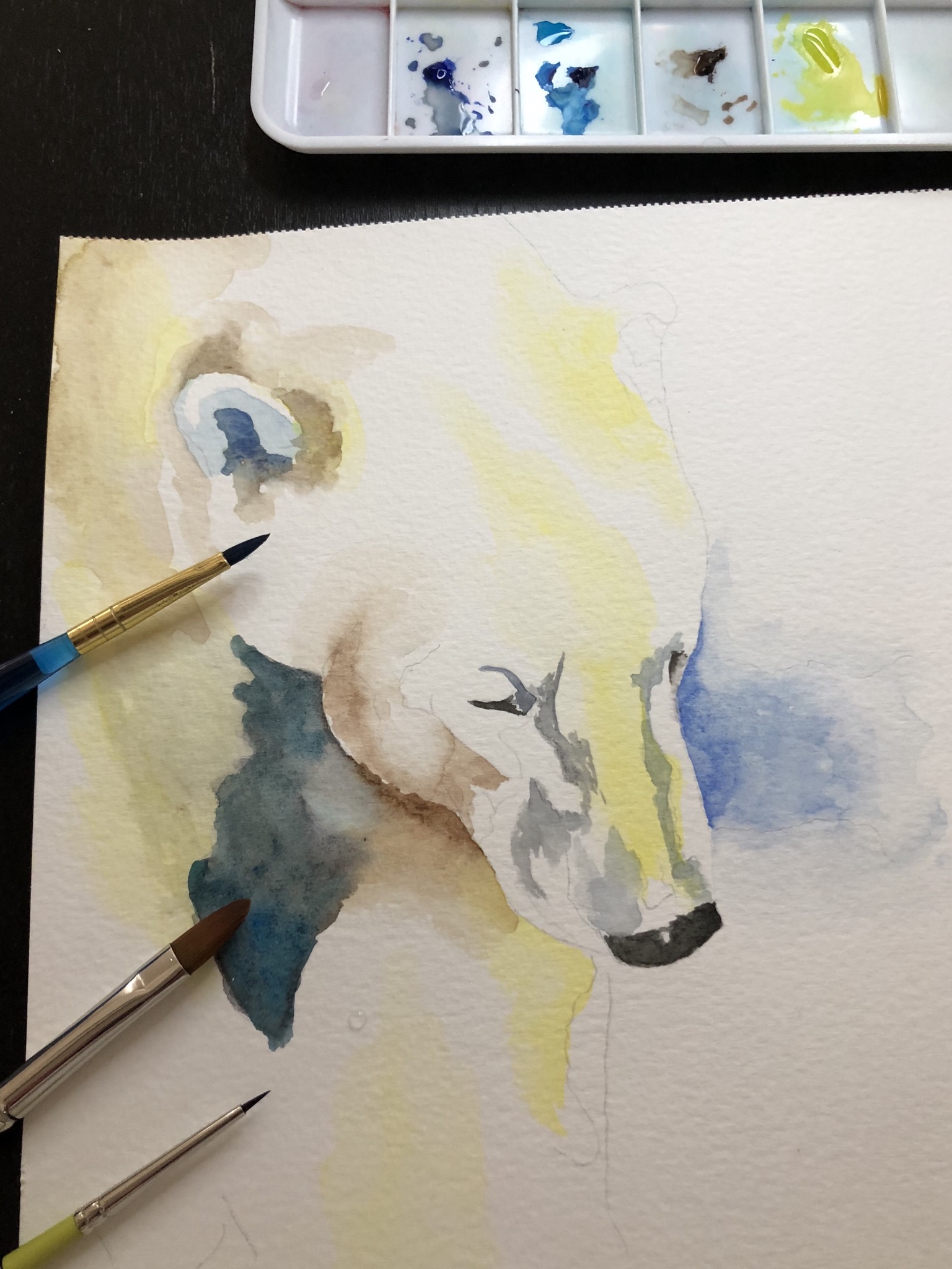 DAF90716-B346-440E-9C8C-BF157AFE54CA.jpeg