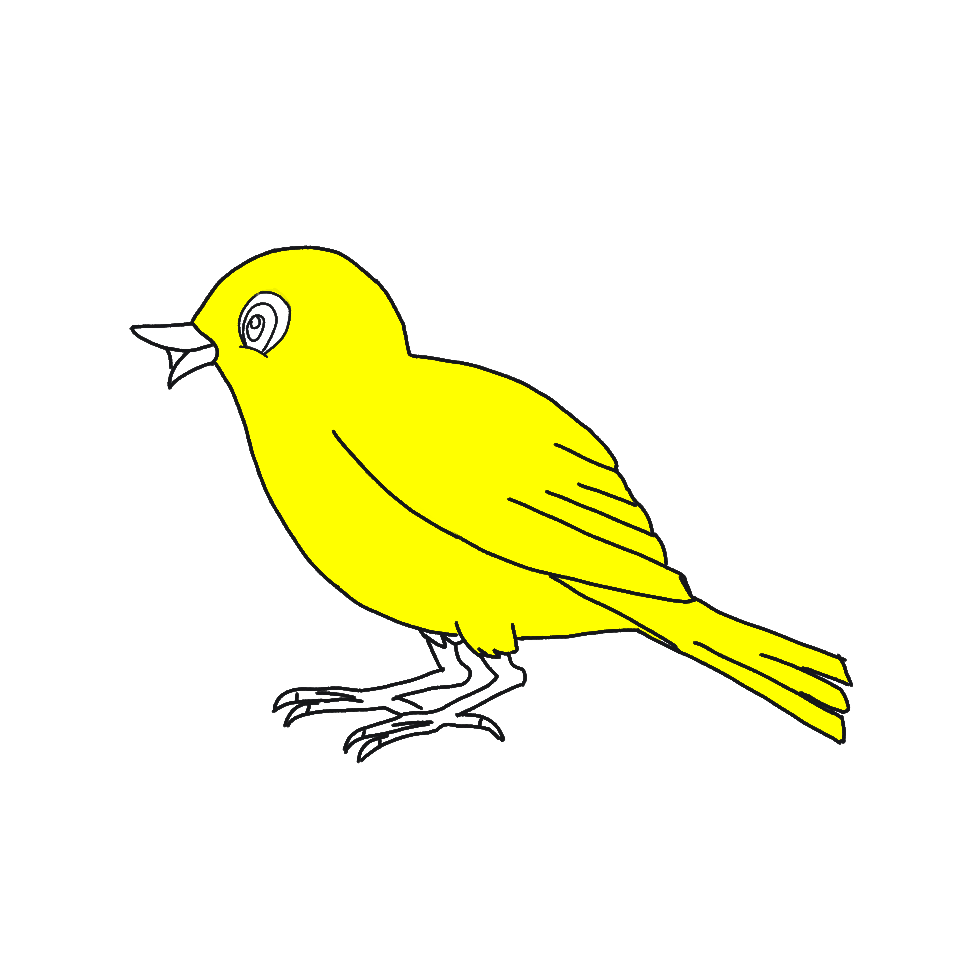Project 1 (6).png