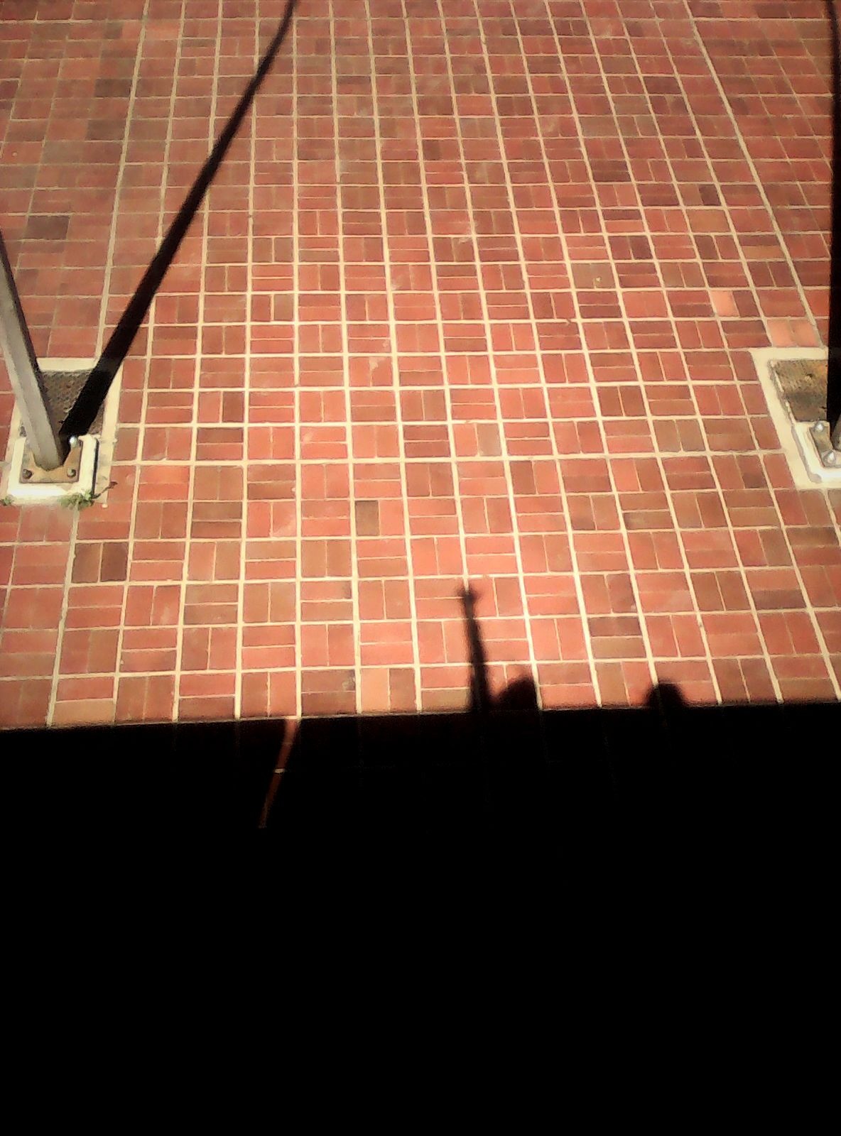 IPC patio.jpg