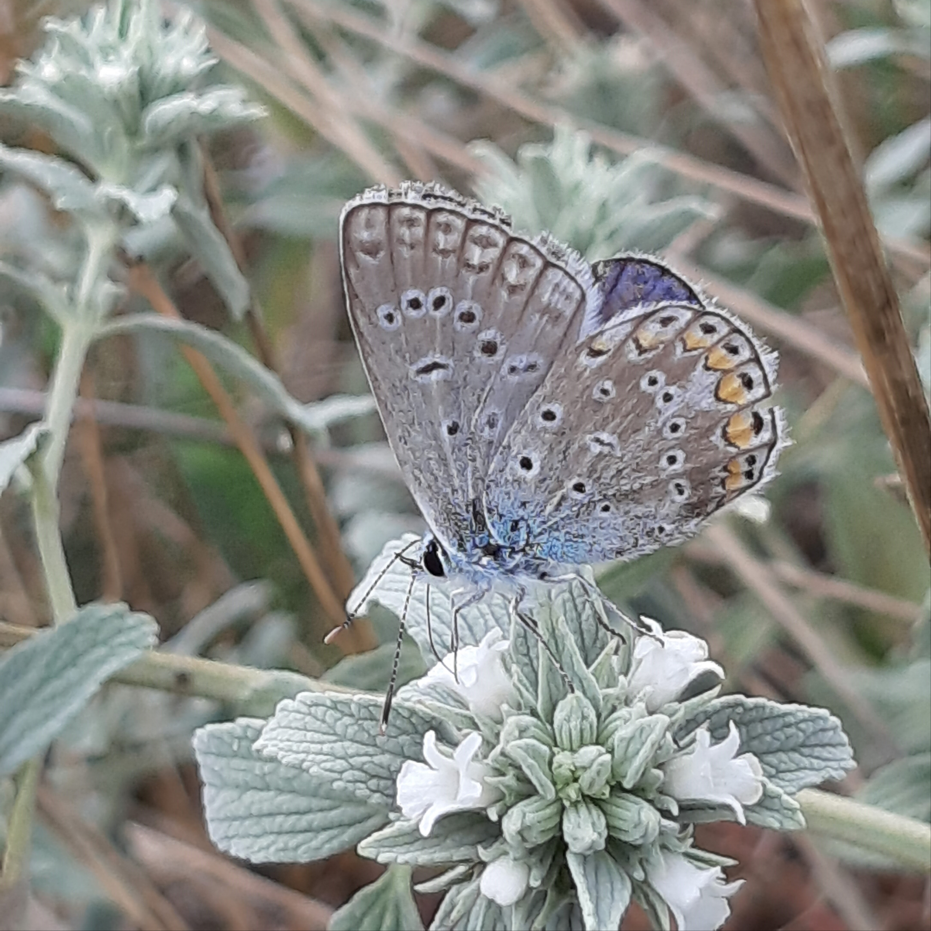 20190926_212951.jpg