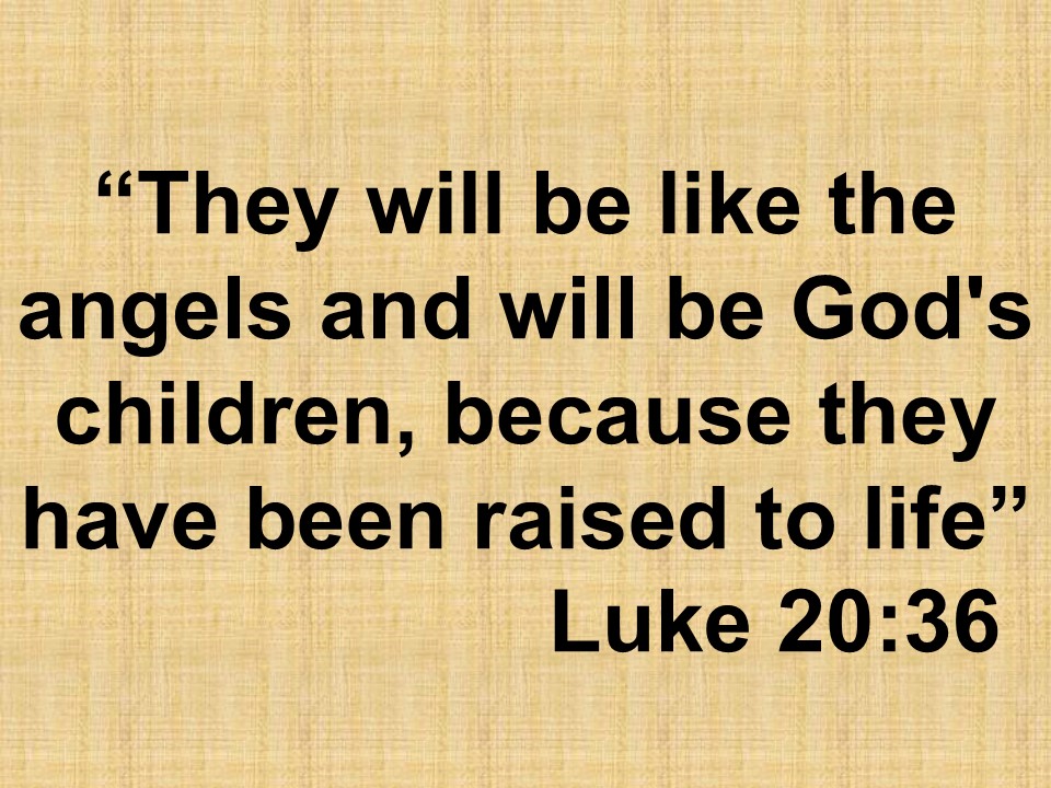 Mysteries of Jesus. They will be like the angels and will be God's children, because they have been raised to life. Luke 20,36.jpg