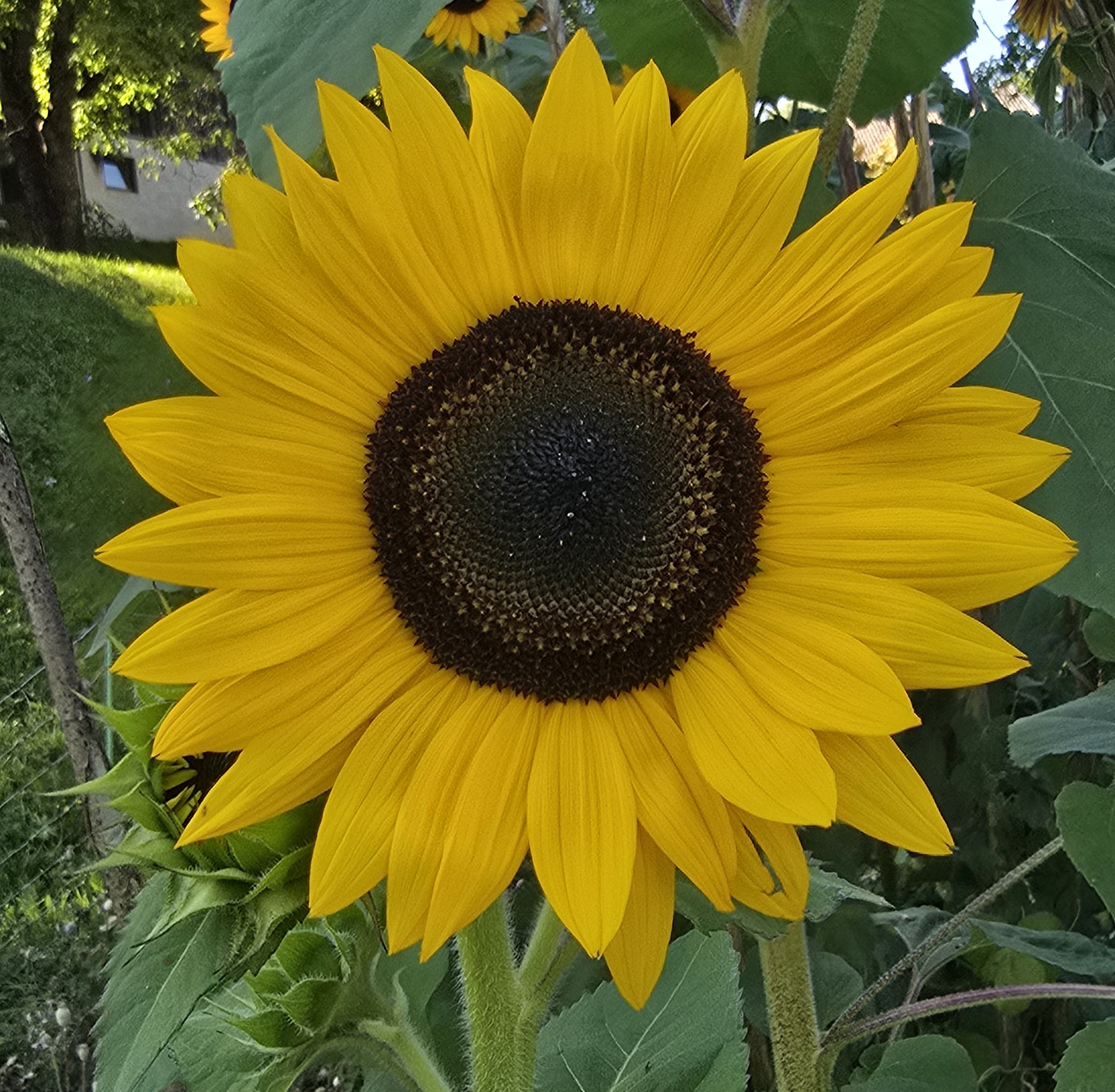 20250826_161001.jpg