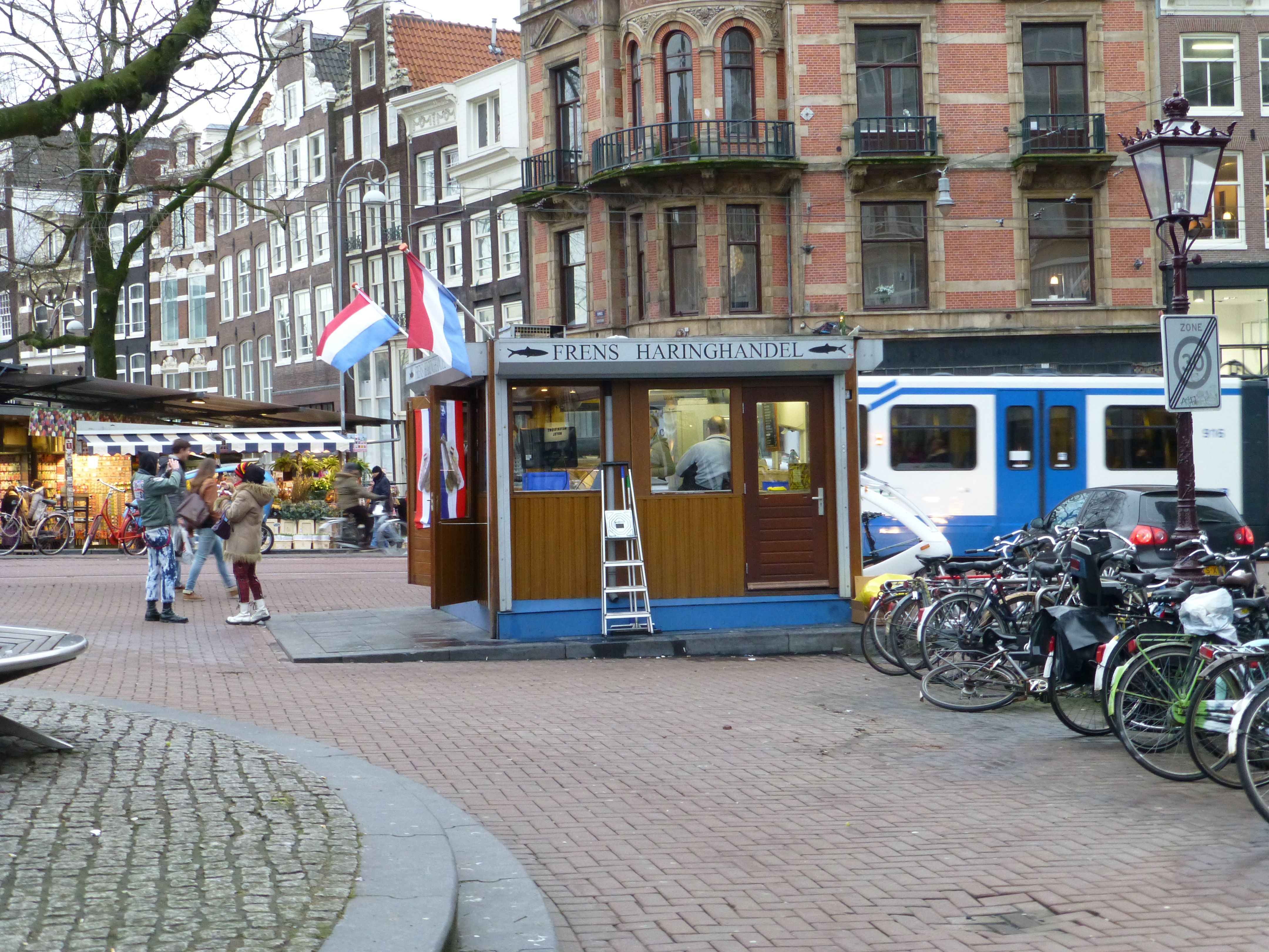 P1000370.jpg