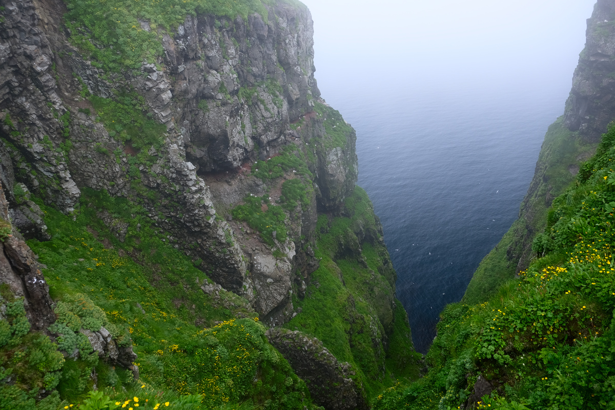 DSCF3353.jpg
