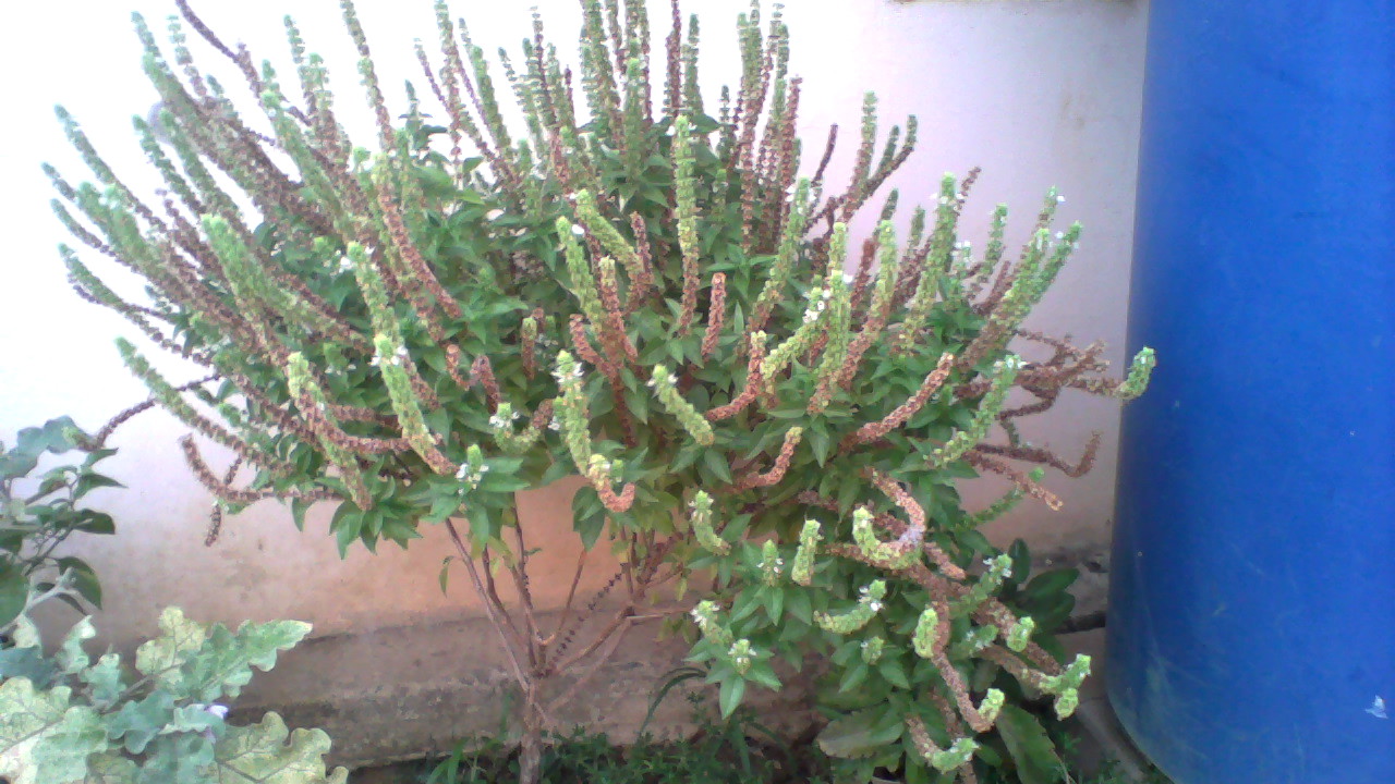 ArcSoft_Imagen259.jpg