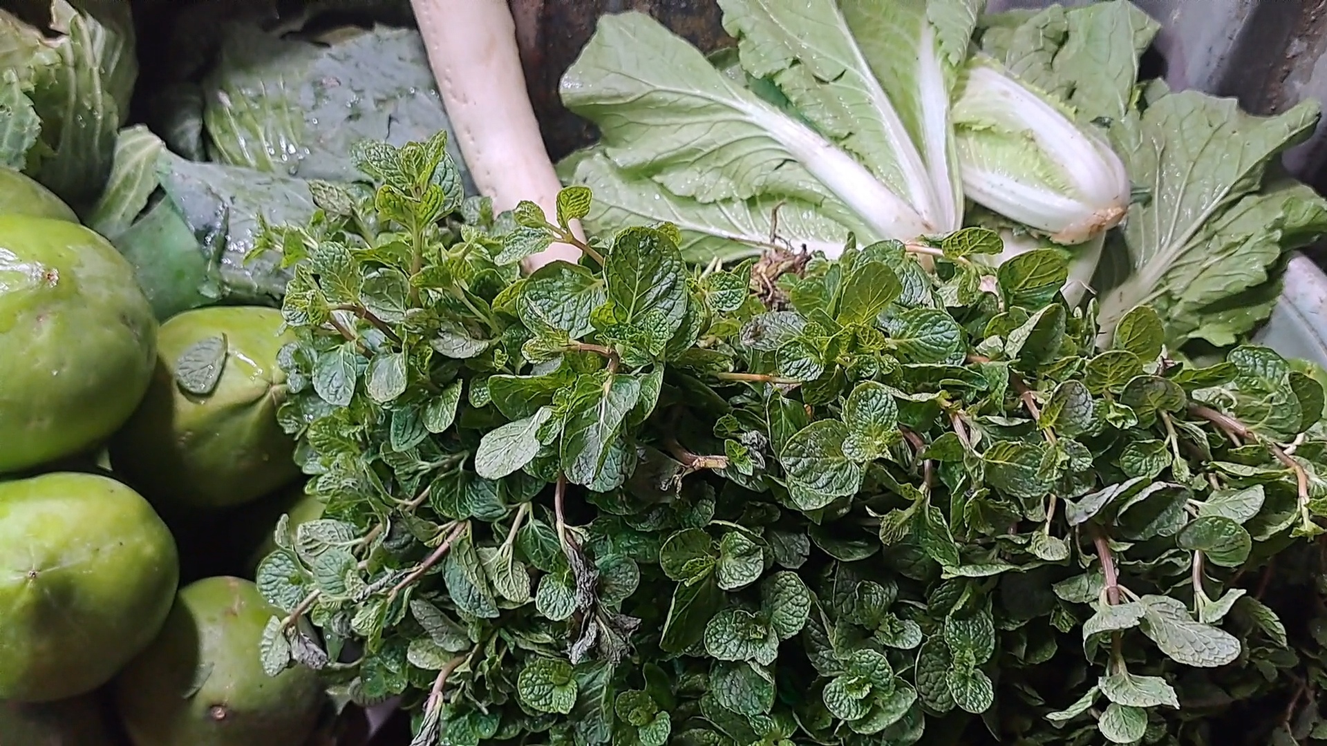 8236.jpg