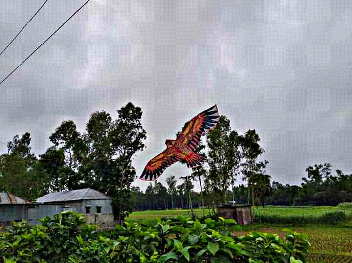 PicsArt_06-20-11.33.13.jpg